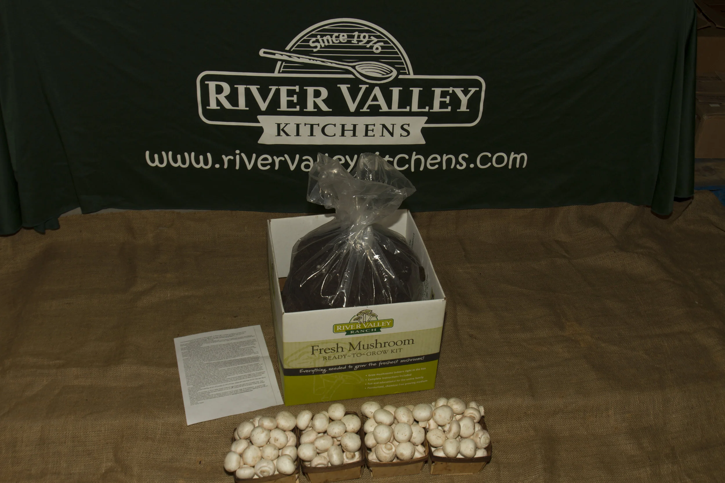 Loosely close the large bag, leaving just a slight opening to vent out some of the moisture. Water droplets condensating on the bag may prohibit the mycelium growth. Keep at 70-76 degrees. Typically you will not need to water the kit at this stage.