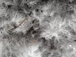 Mycelium can look fuzzy to thread-like or both at the same time. This is a very dense population of mycelium, however, you can hopefully see the water droplets sitting on the mycelium. If allowed to grow this dense, typically seen when the bag closed up too long in step 2, it is difficult to water properly and may not grow a good crop of mushrooms.