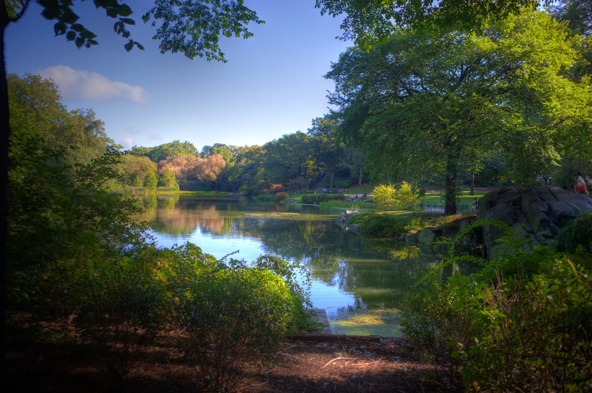 IMG_4432_HDR.jpg
