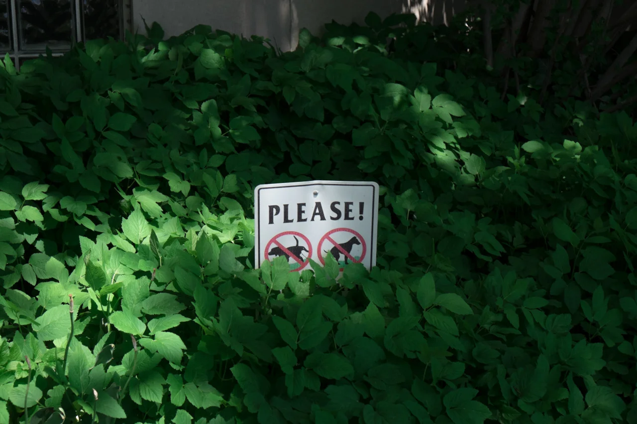 tumblr_nnsidc5xDL1qayo0uo1_1280.jpg