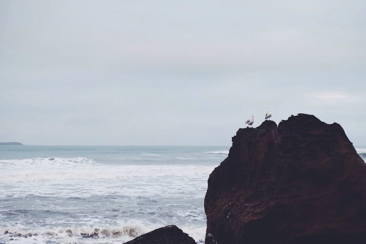 tumblr_nh7rb7qyAA1qayo0uo1_1280.jpg