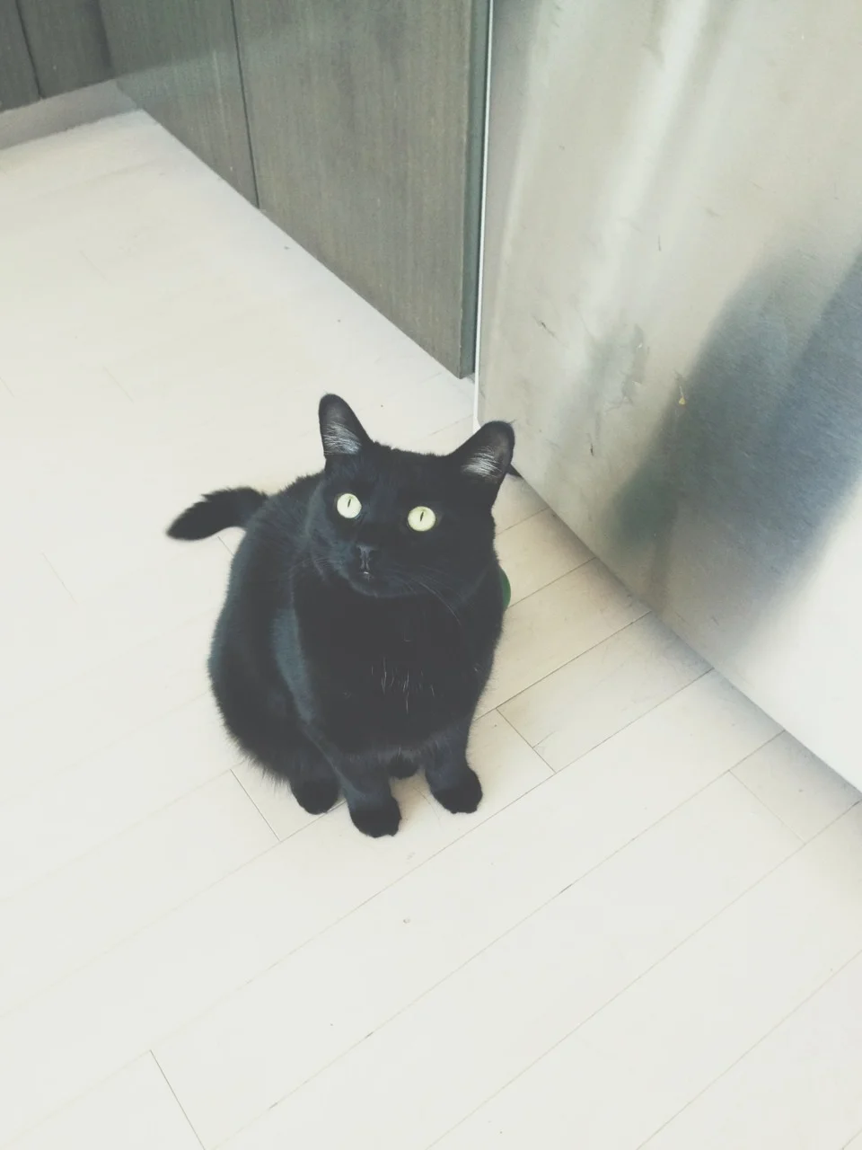 tumblr_mrwpsrxLKX1qayo0uo1_1280.jpg