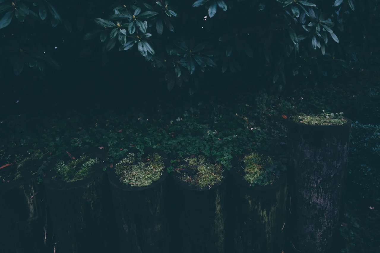 tumblr_nzy0ctlSjX1qayo0uo1_1280.jpg