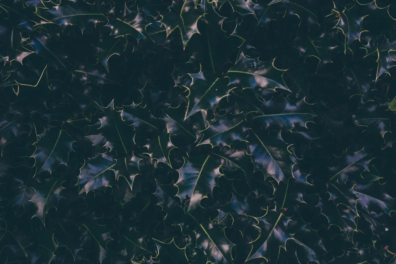 tumblr_nzy08uUEEv1qayo0uo1_1280.jpg