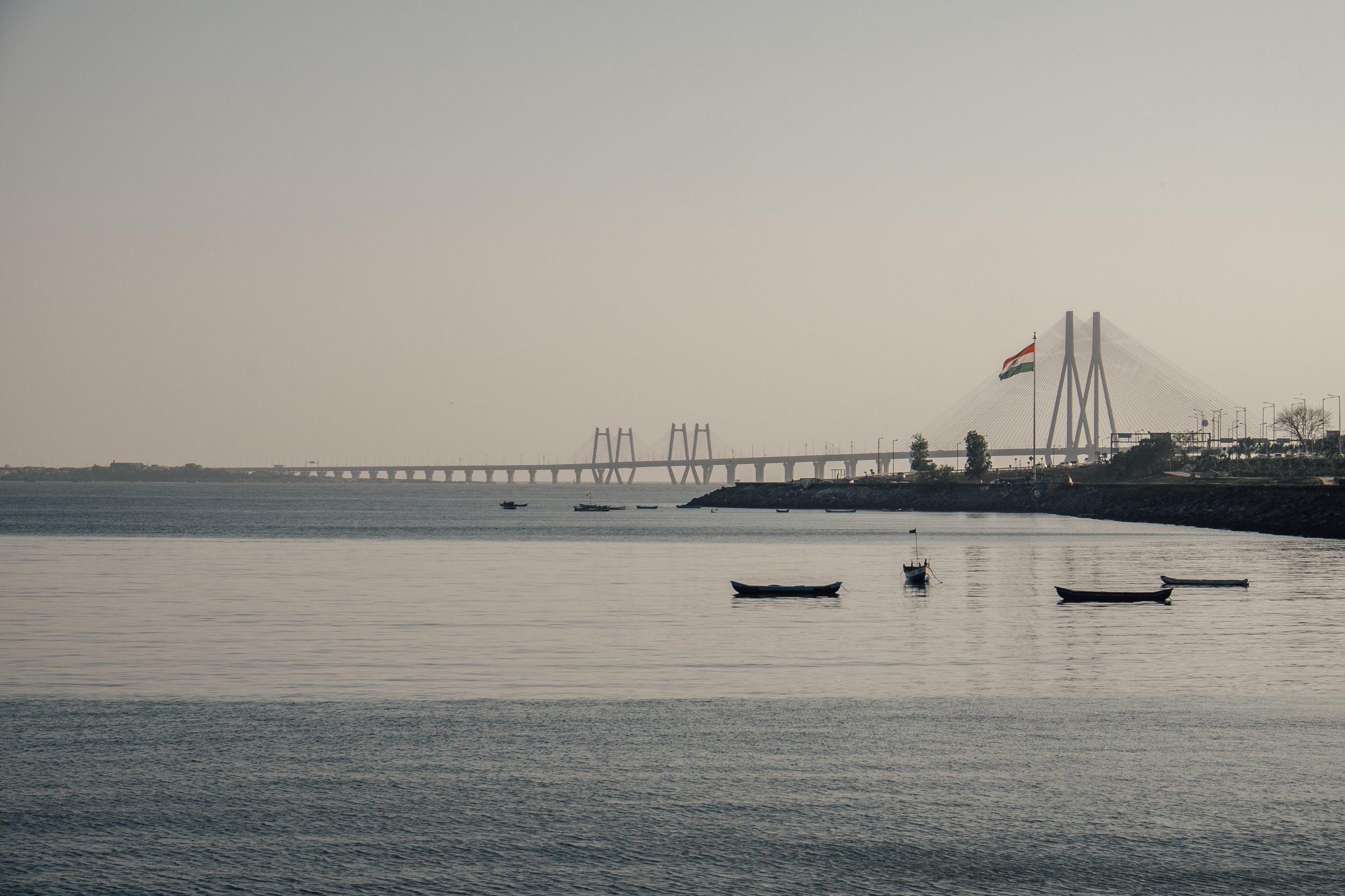 DSCF7239.jpg