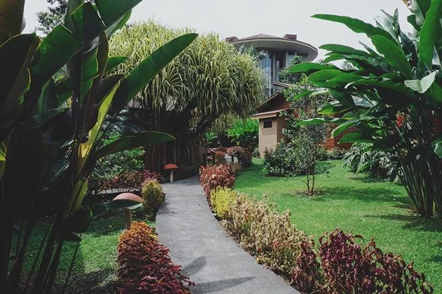 We went to Costa Rica last year