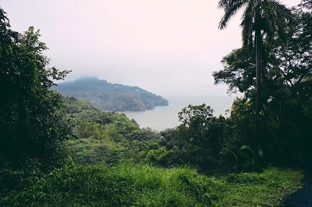 Rain in the distance