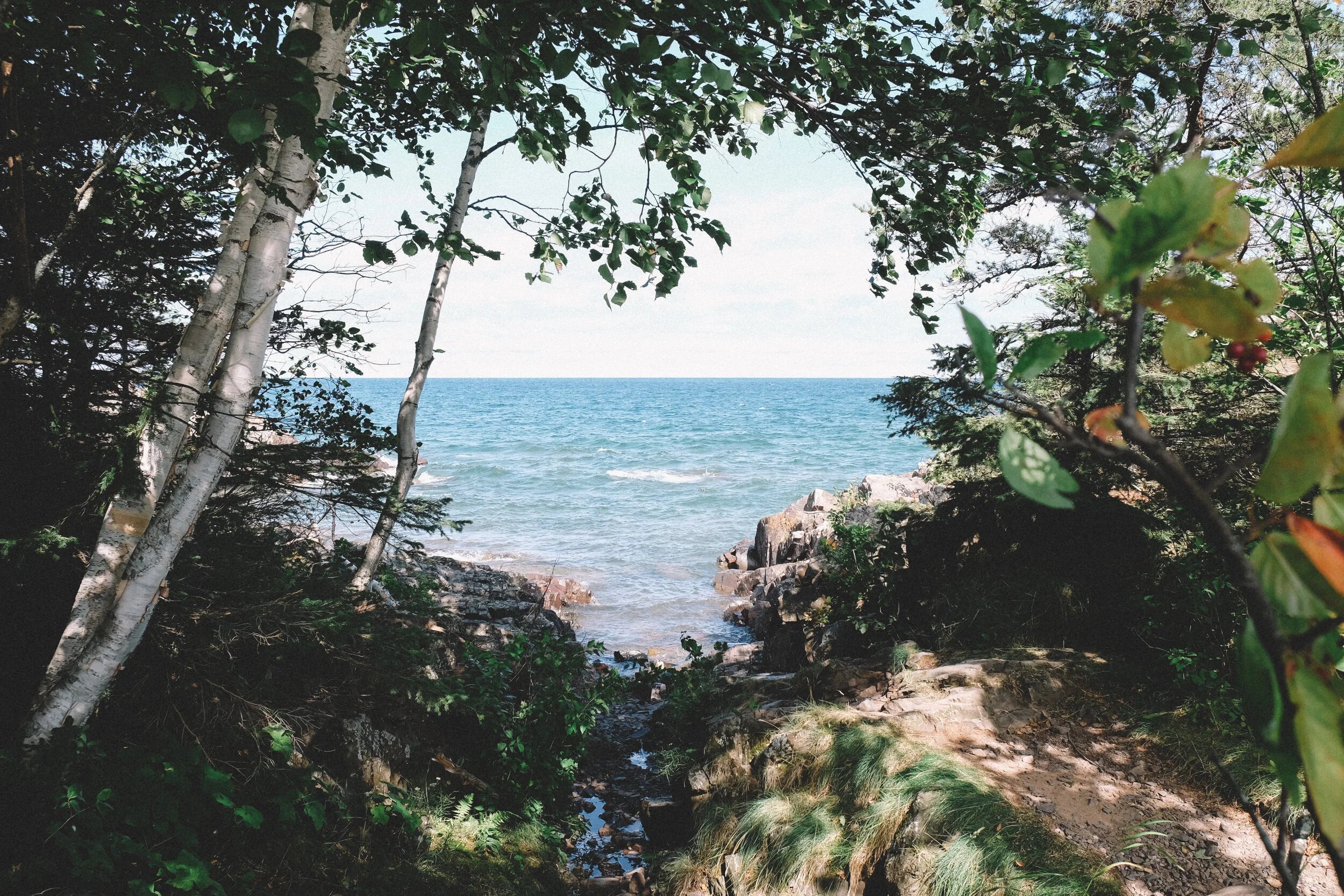 DSCF1286.jpg