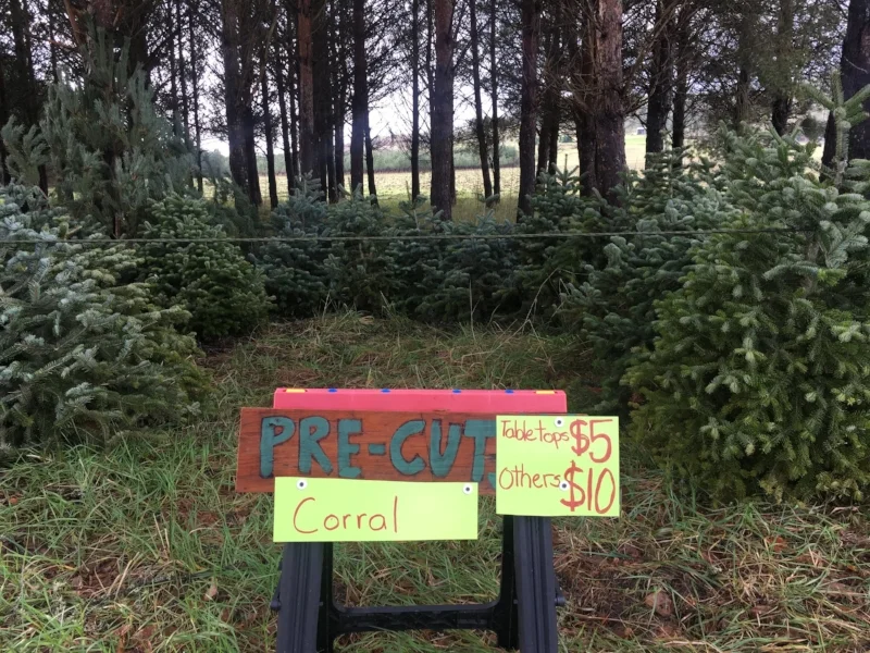 2016 Choose and Cut Sale Season Ending Early