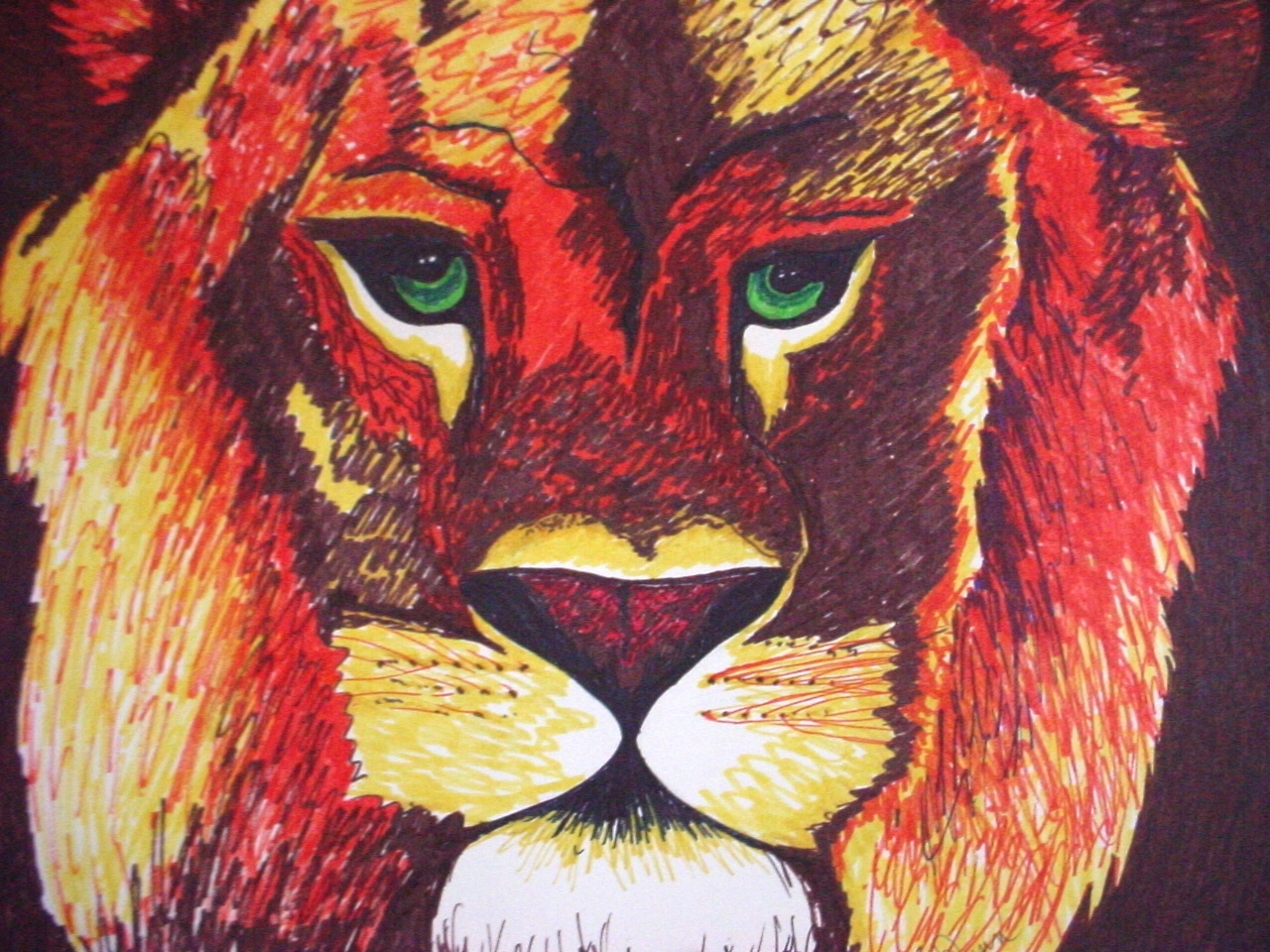 Lion in Orange
