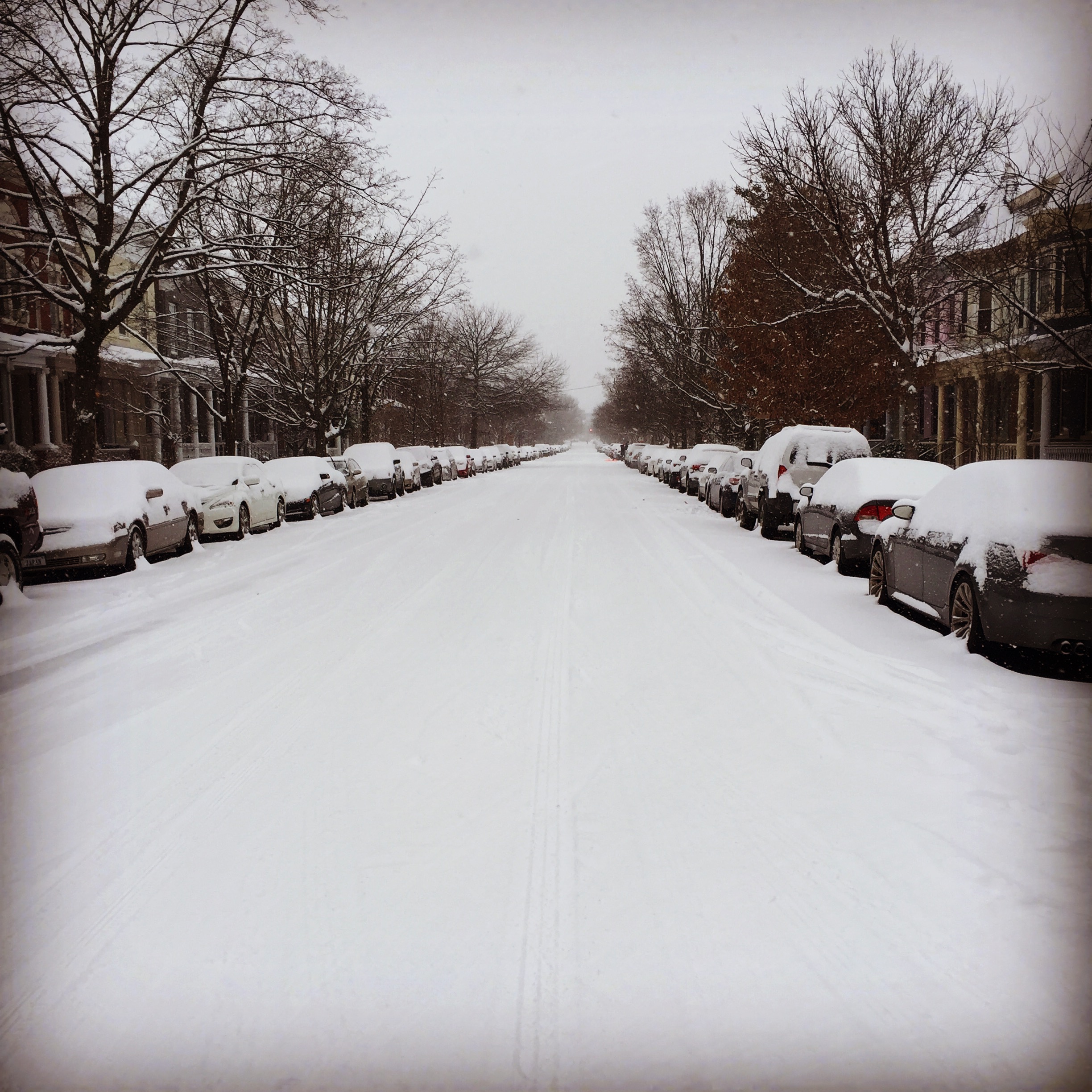 What makes Virginia so unique is that we have a little of everything. Ocean & mountains, farmland & cities block parties & state fairs. On a hot day like today, though, we are thinking about SNOW! This is from the winter storm we had in February that left us with over 2 feet of the icy stuff all over the streets. The result? Peace and quiet....