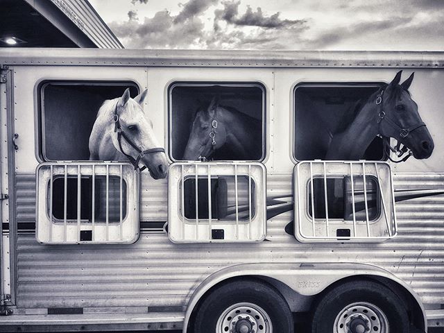 B&amp;W .
.
.
.
.
.
.
.
#blackandwhite #black #white #photography #travelphotography #iphonography #snapseed #horses #horseofinstagram #illinois_shots #illinoisphotography #ontheroad #truckstop #chicagoig #chicagoshot #chicagogram