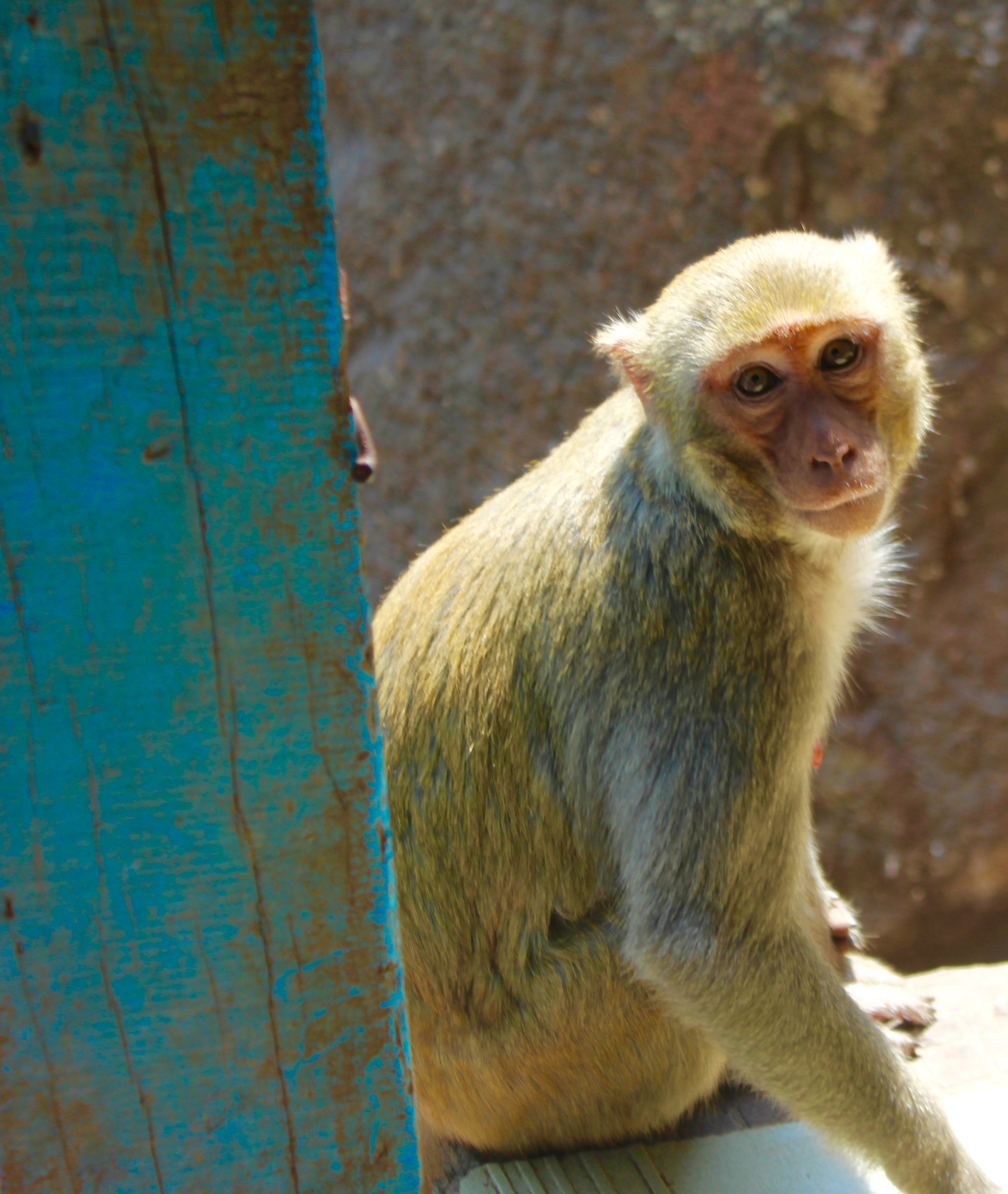 Mount Popa, Bagan, Myanmar