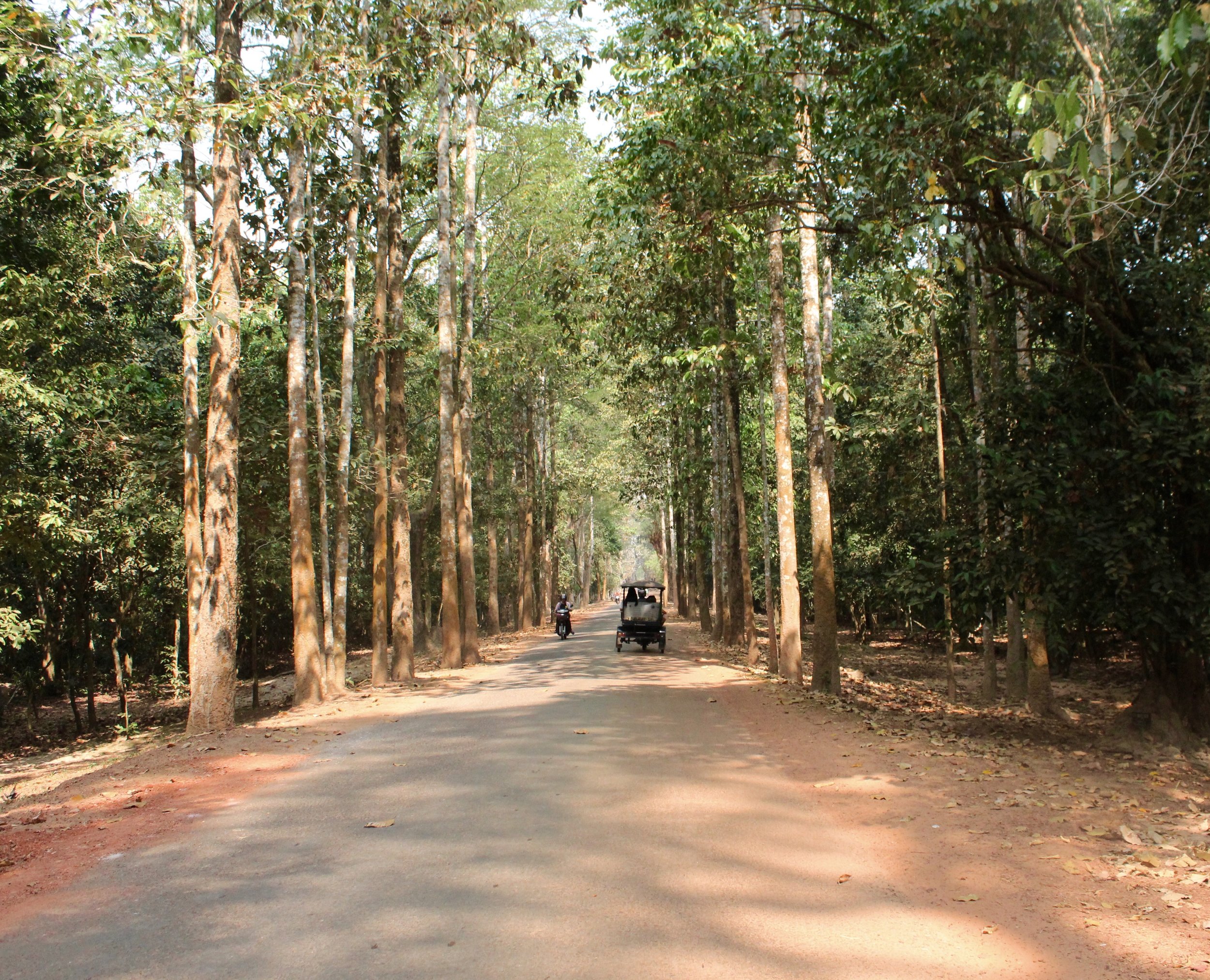 Angkor Wat, Siem Reap, Cambodia