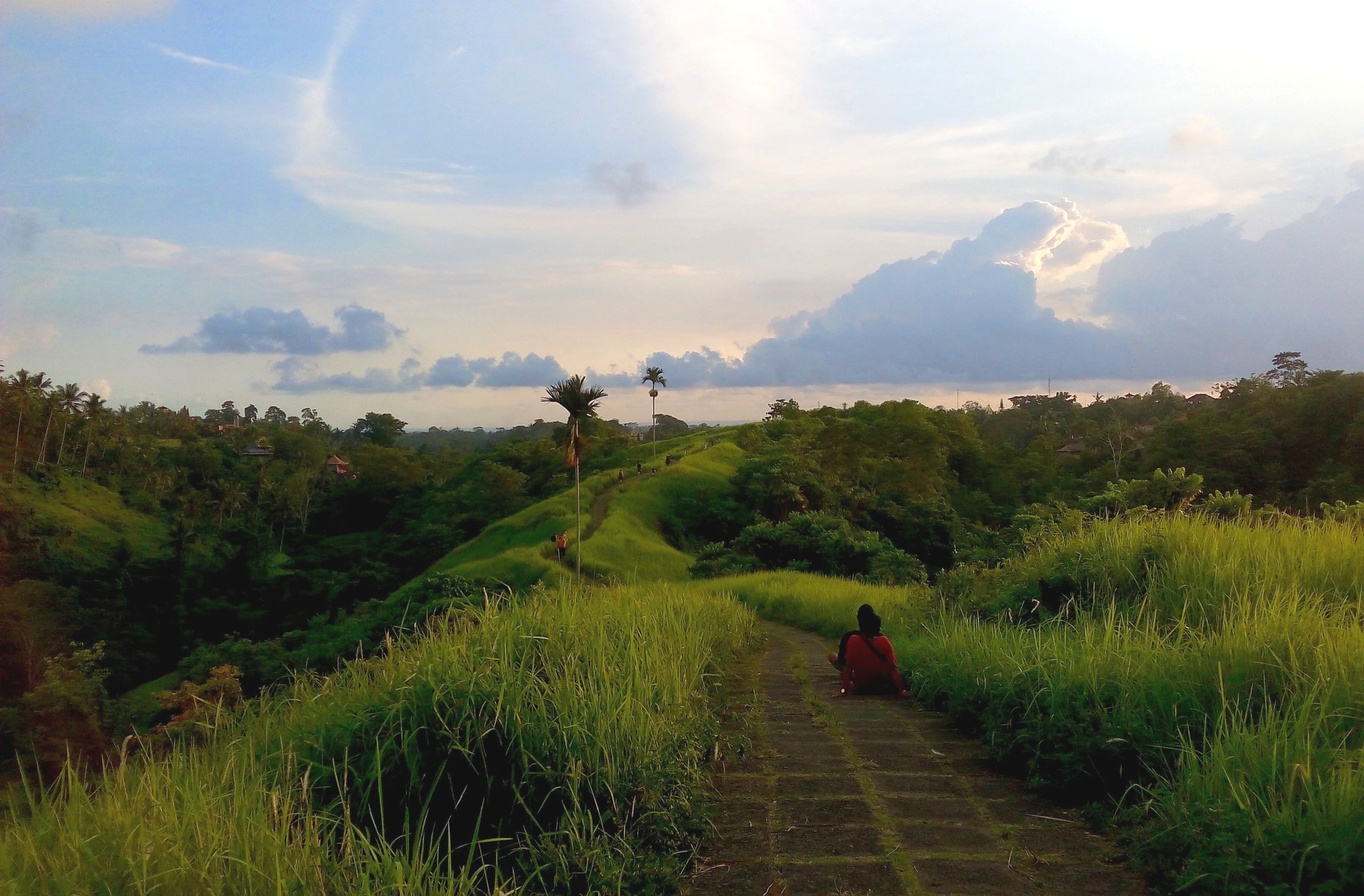 Campuhan Ridge Walk, Ubud, Bali, Indonesia