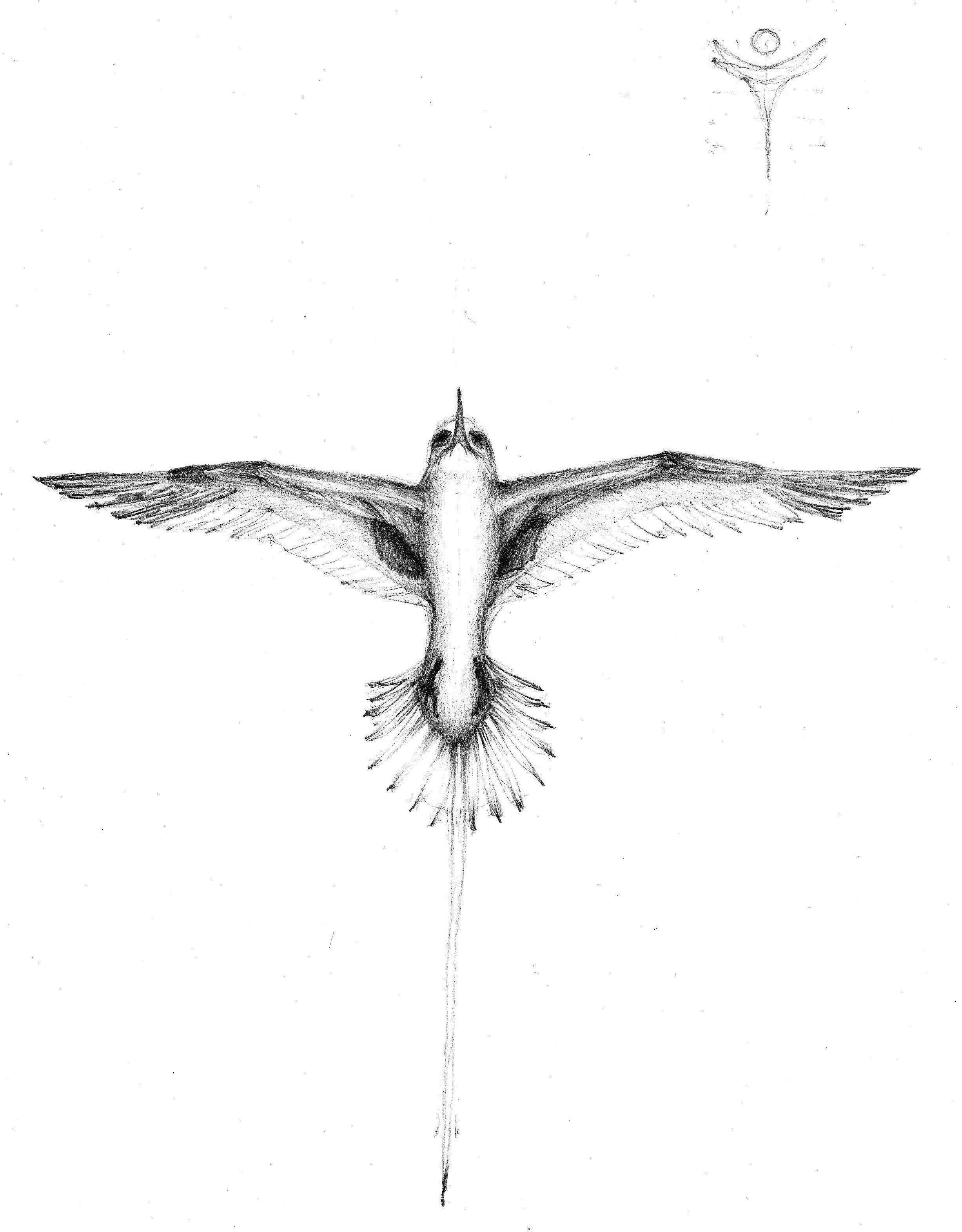 "Bermuda Longtail with Peace" Artwork by greg Frucci, 2011.