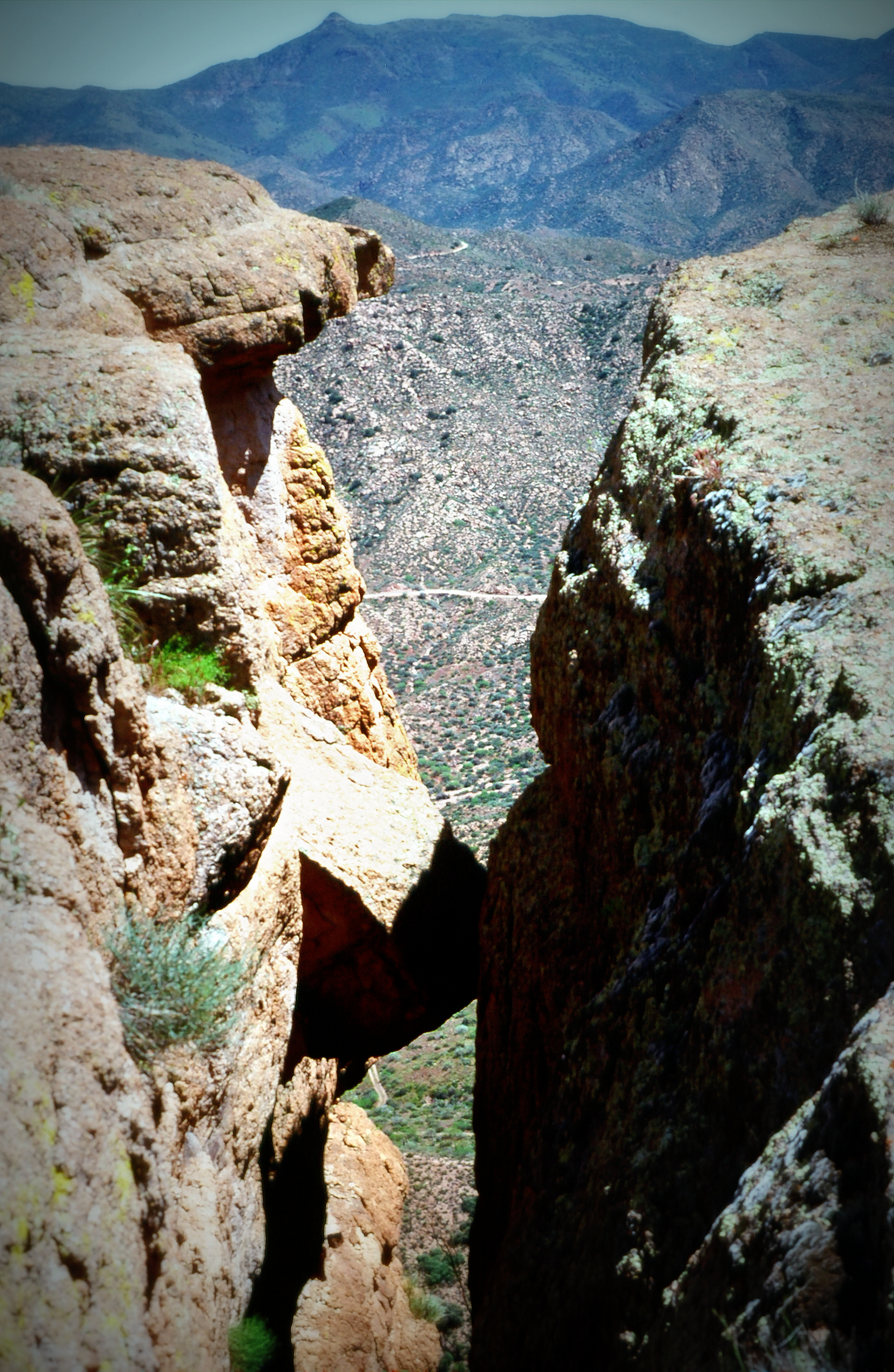Photo by Greg frucci, 1998 in Arizona while on a roadtrip to California