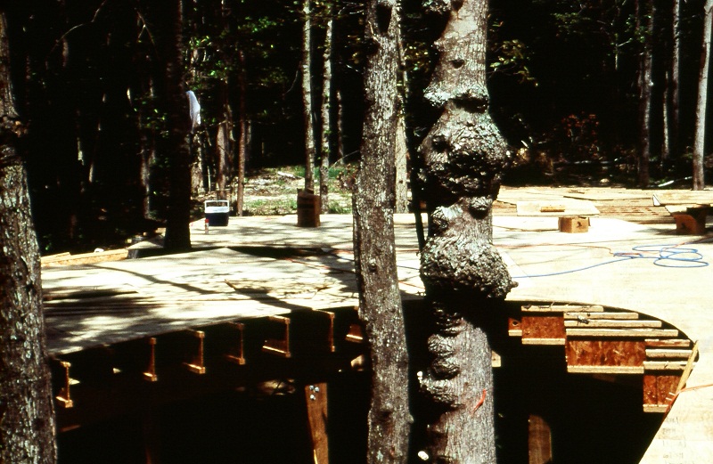 teague house floor in trees.jpg