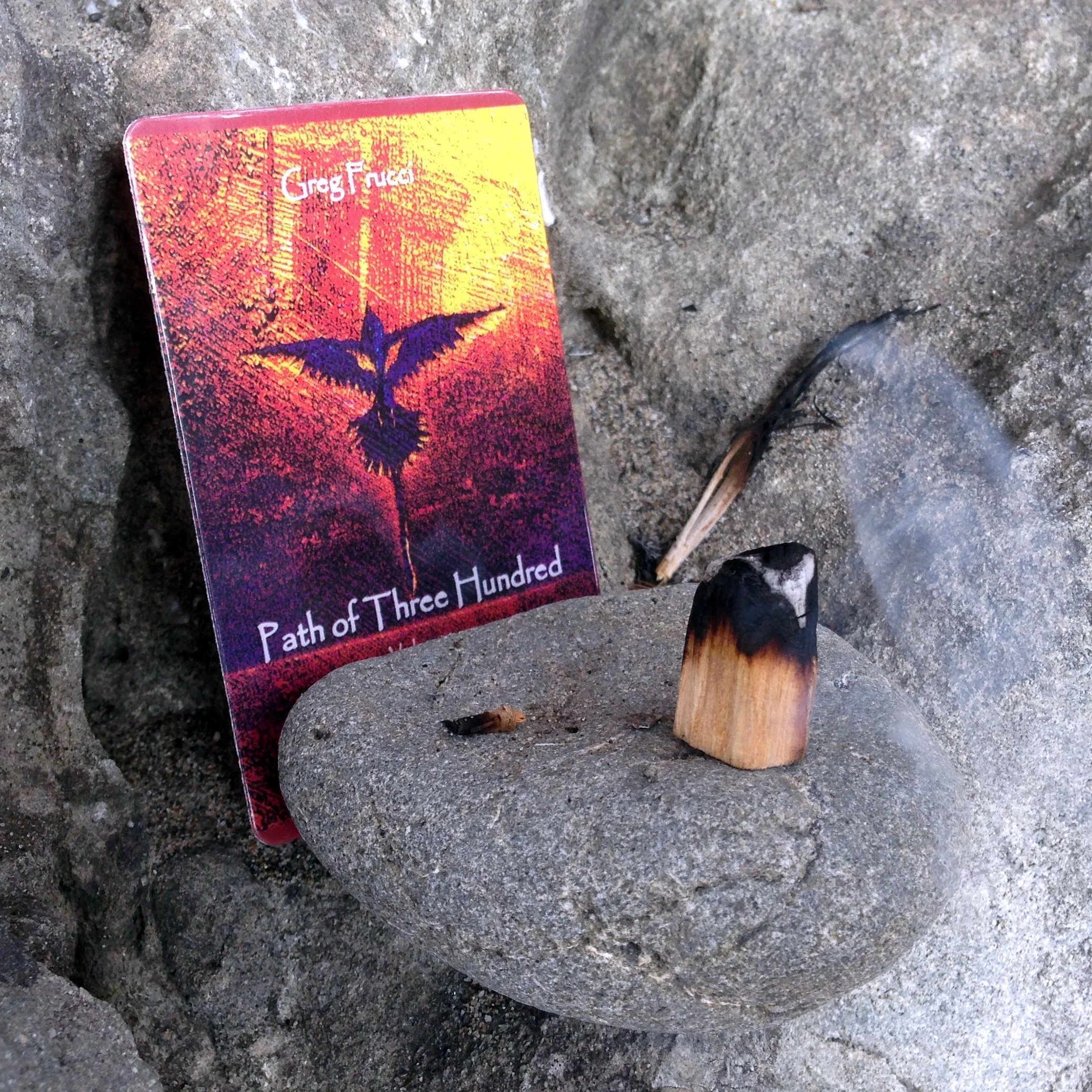 PATH OF THREE HUNDRED: VOLUME 1