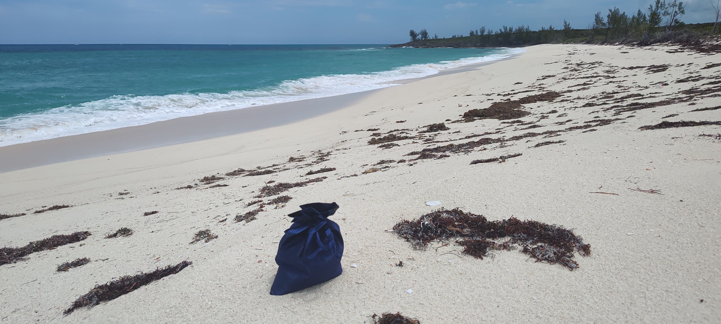 Lucky and his beach on Powell Cay.jpg