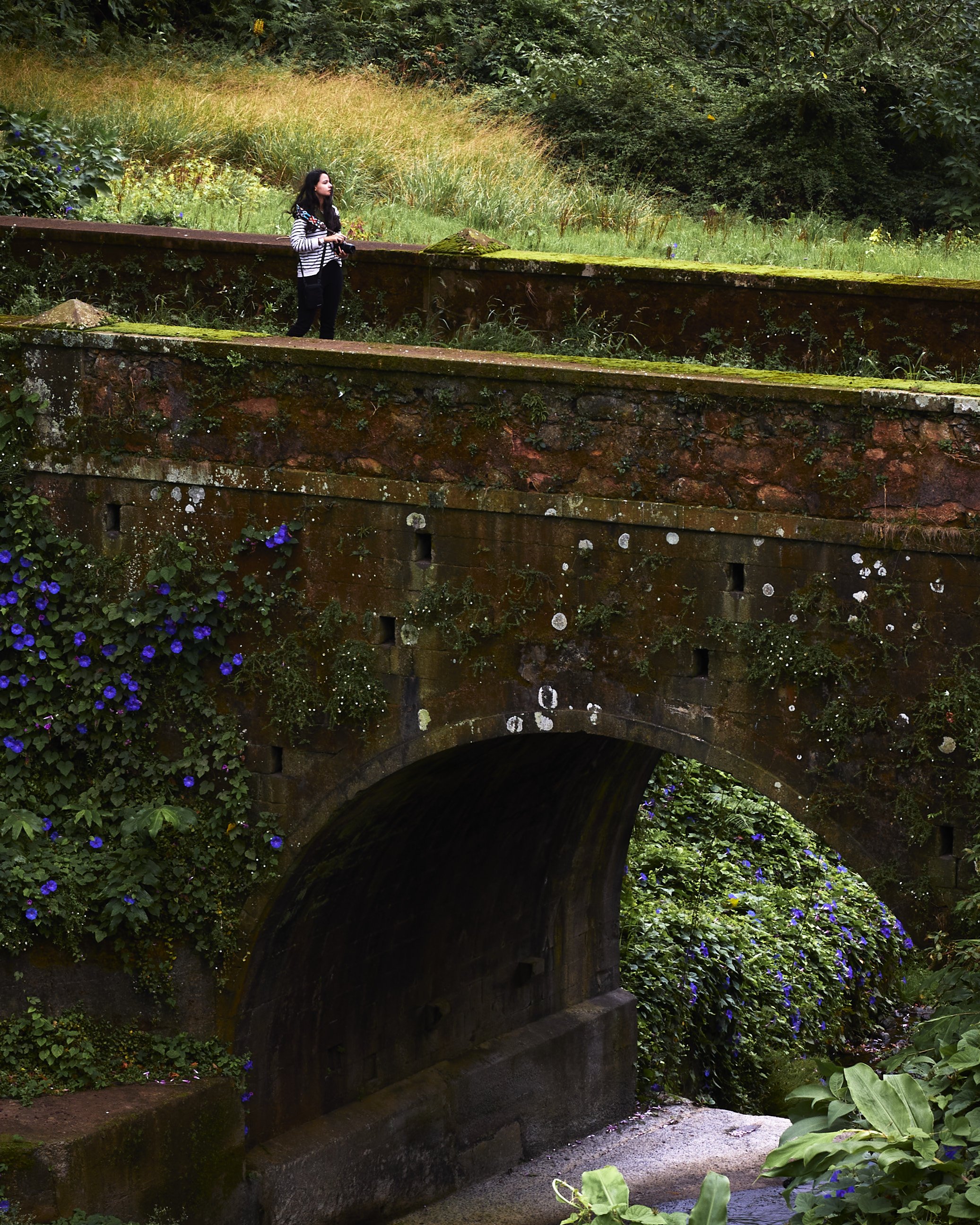 Alameda Bridge in the Azores by Greg Frucci