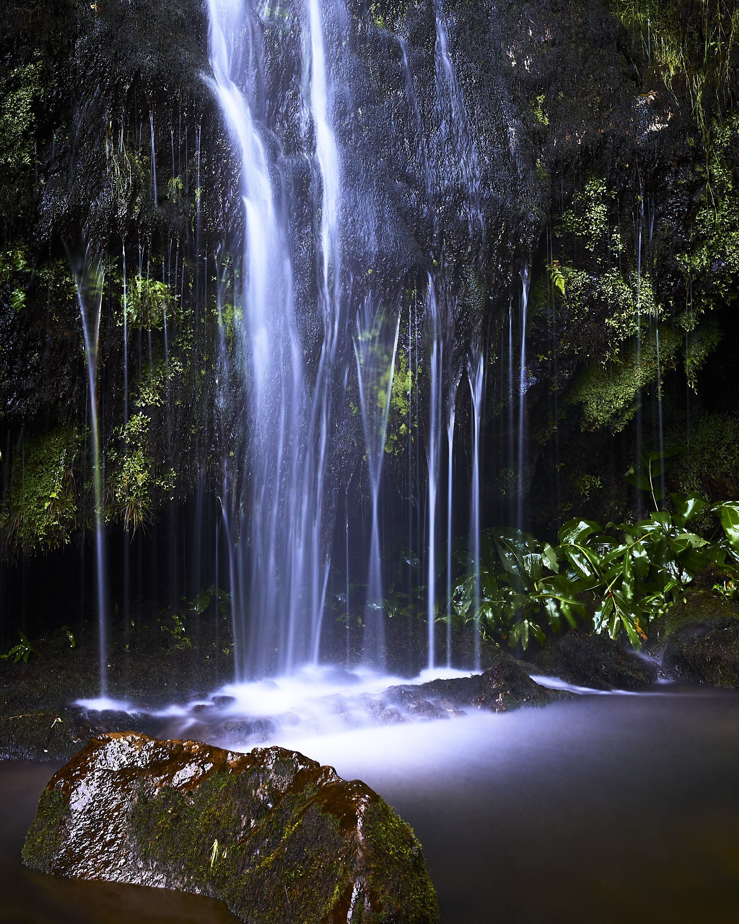 Waterfall Rocha dos Bordoes, Flores Island, Azores by Greg Frucci