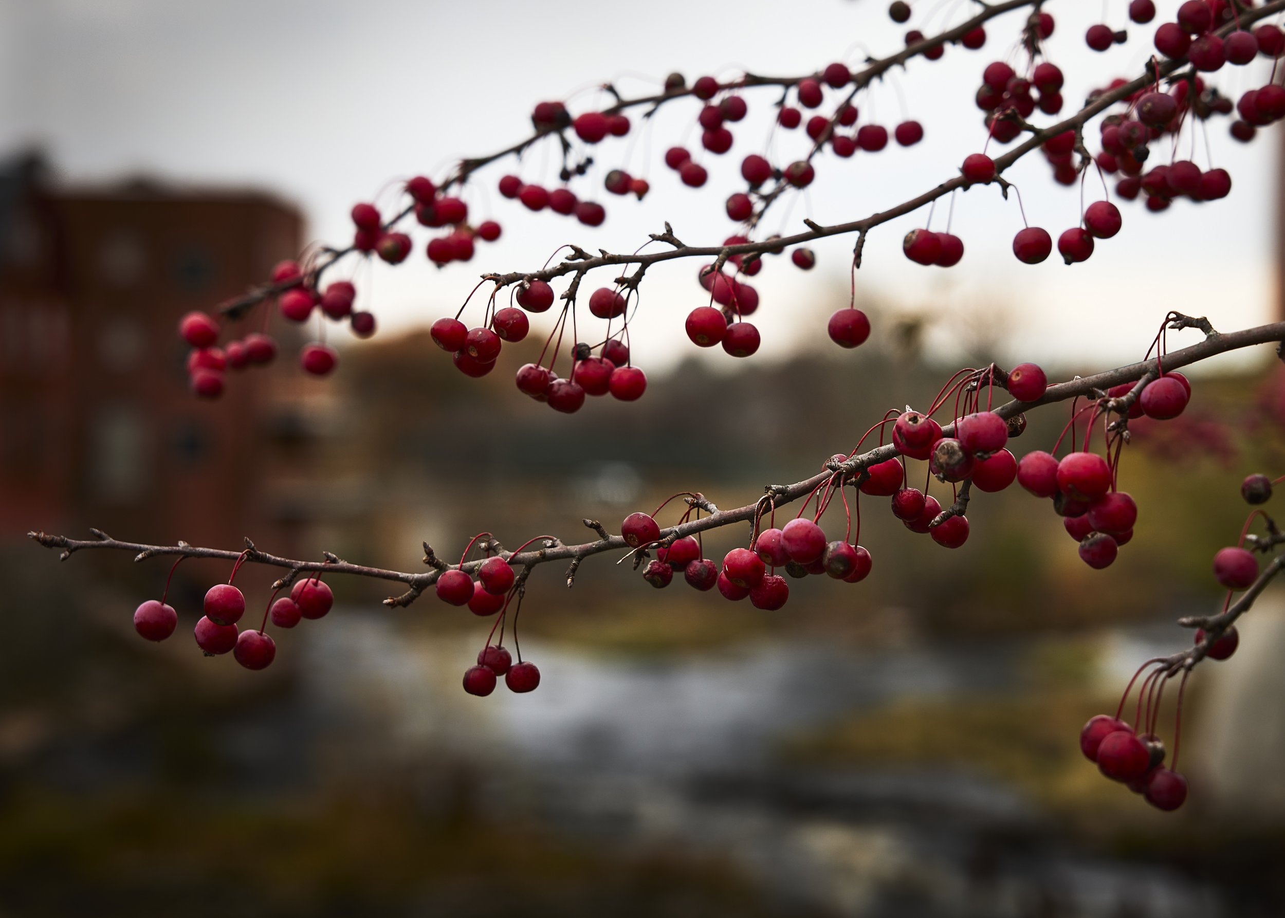 Squamscott River Colors in Exeter, New Hampshire by Greg Frucci