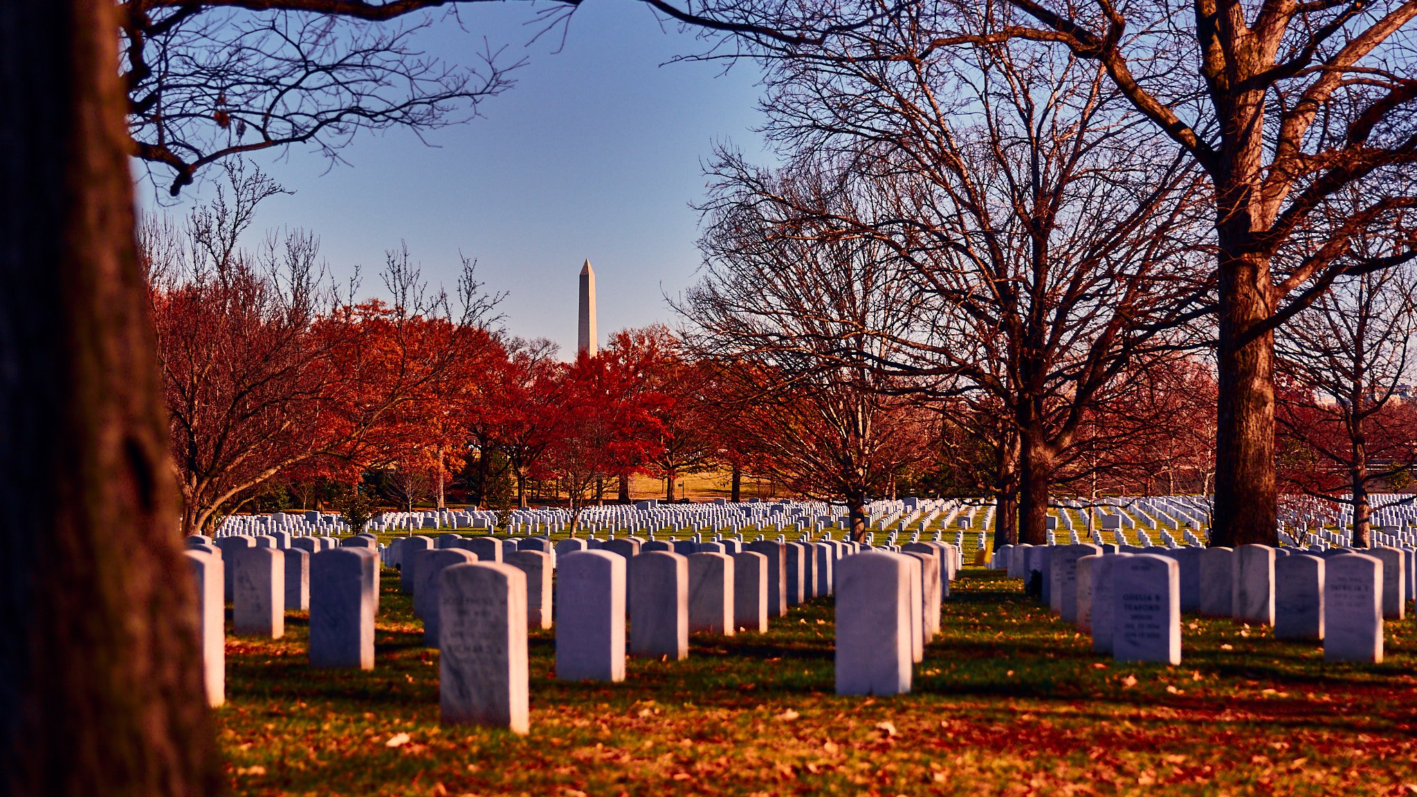 Arlington National Cemetery by Greg Frucci