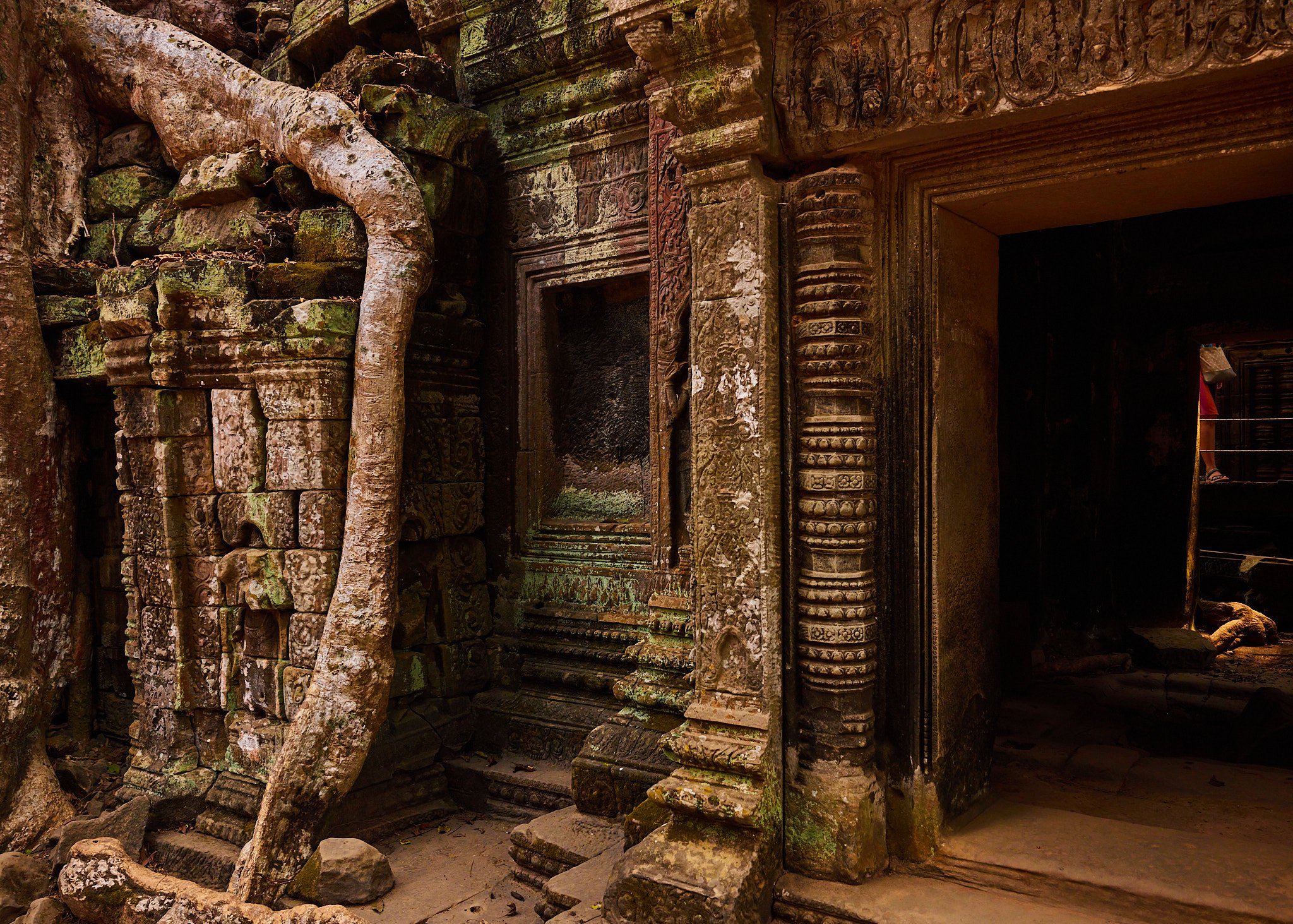 Ta Prohm Temple Tree in Cambodia by Greg Frucci