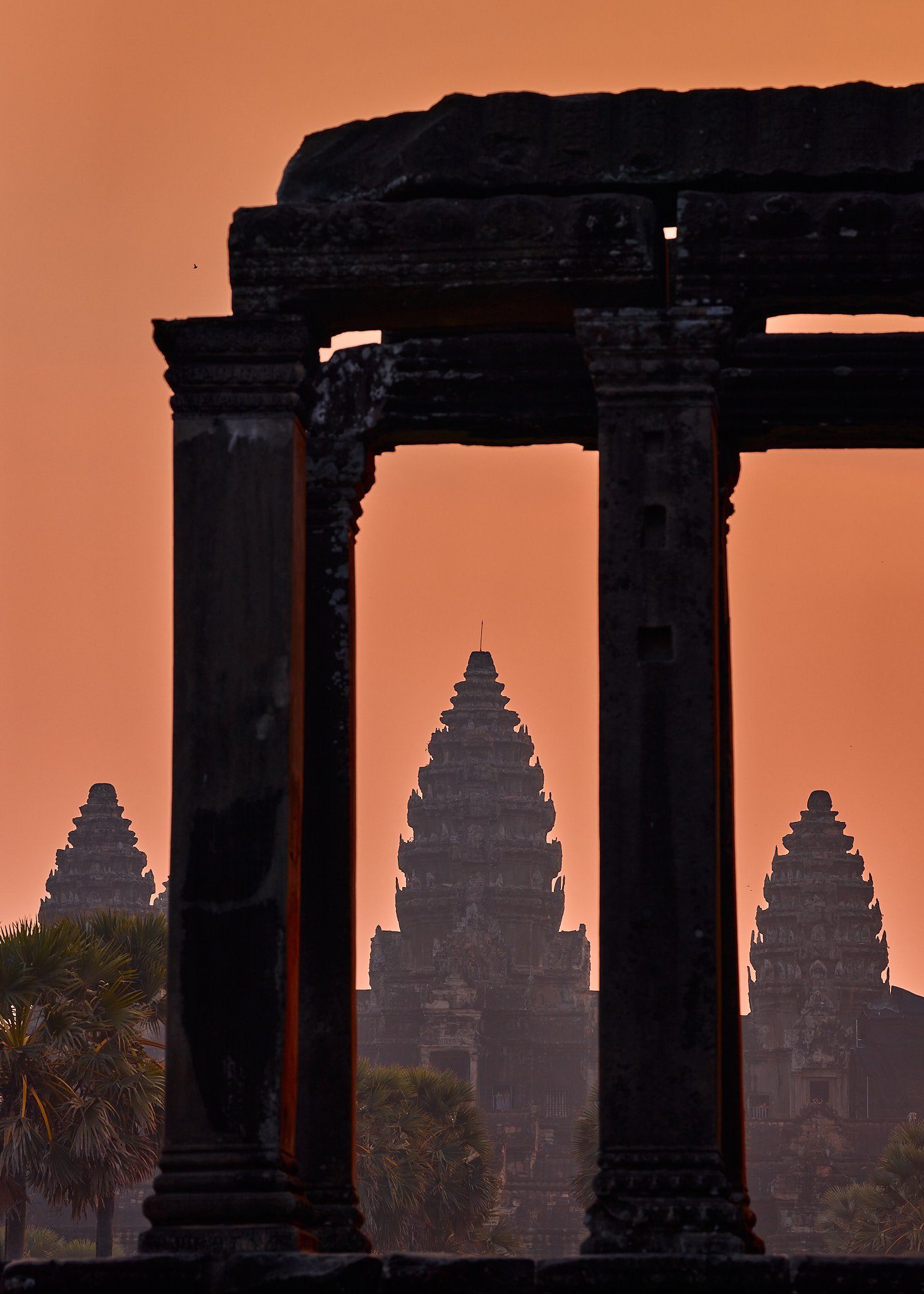 Angkor Wat Temple Framed by Greg Frucci
