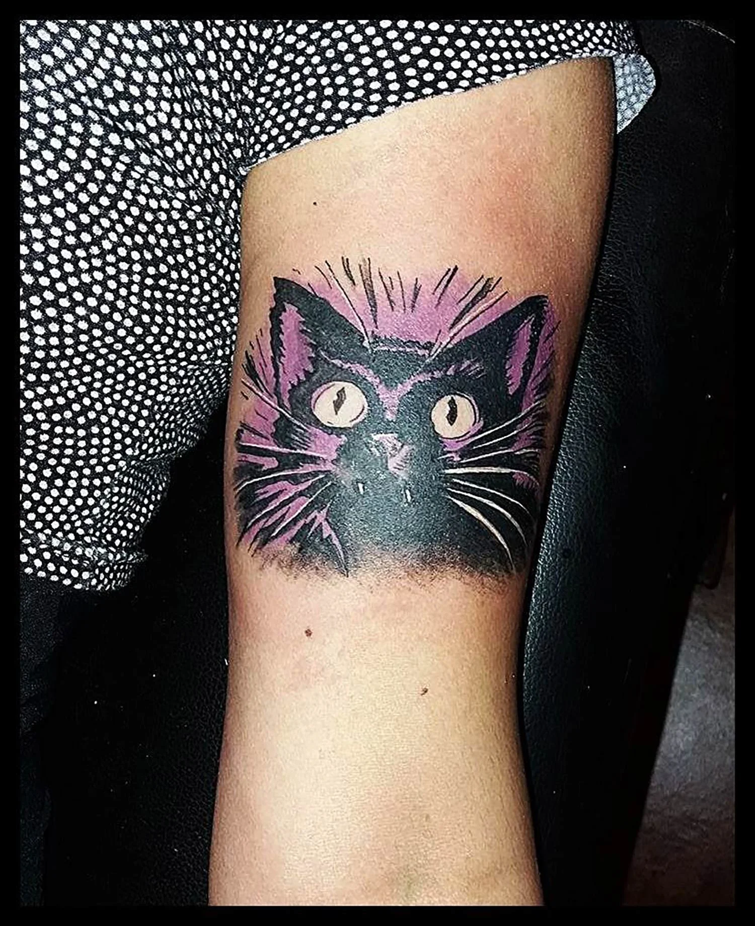 black-cat.jpg
