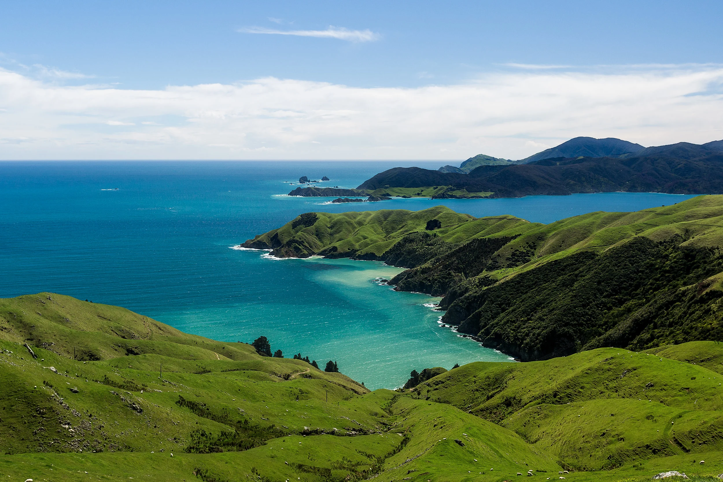 Queen_charlotte_sound-Modifica-2.jpg
