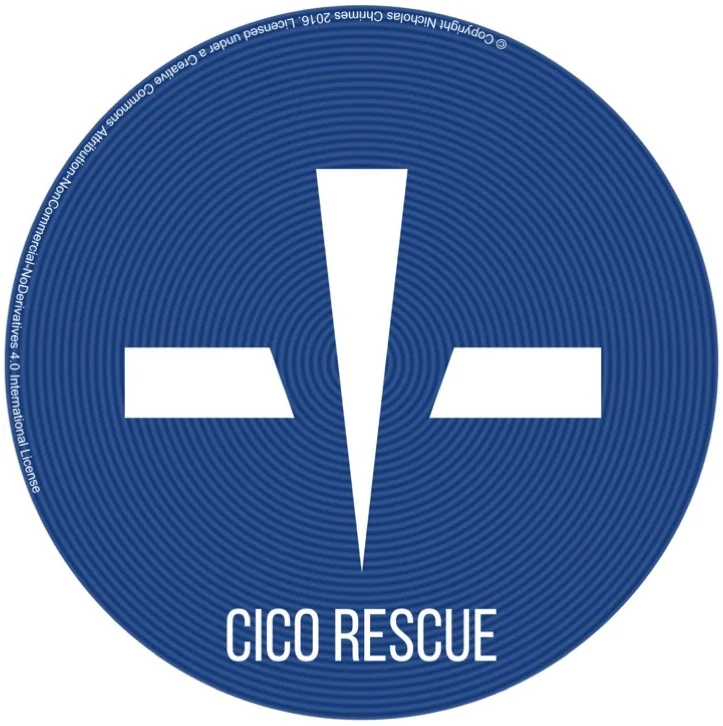 CICO Text Copyright.jpg