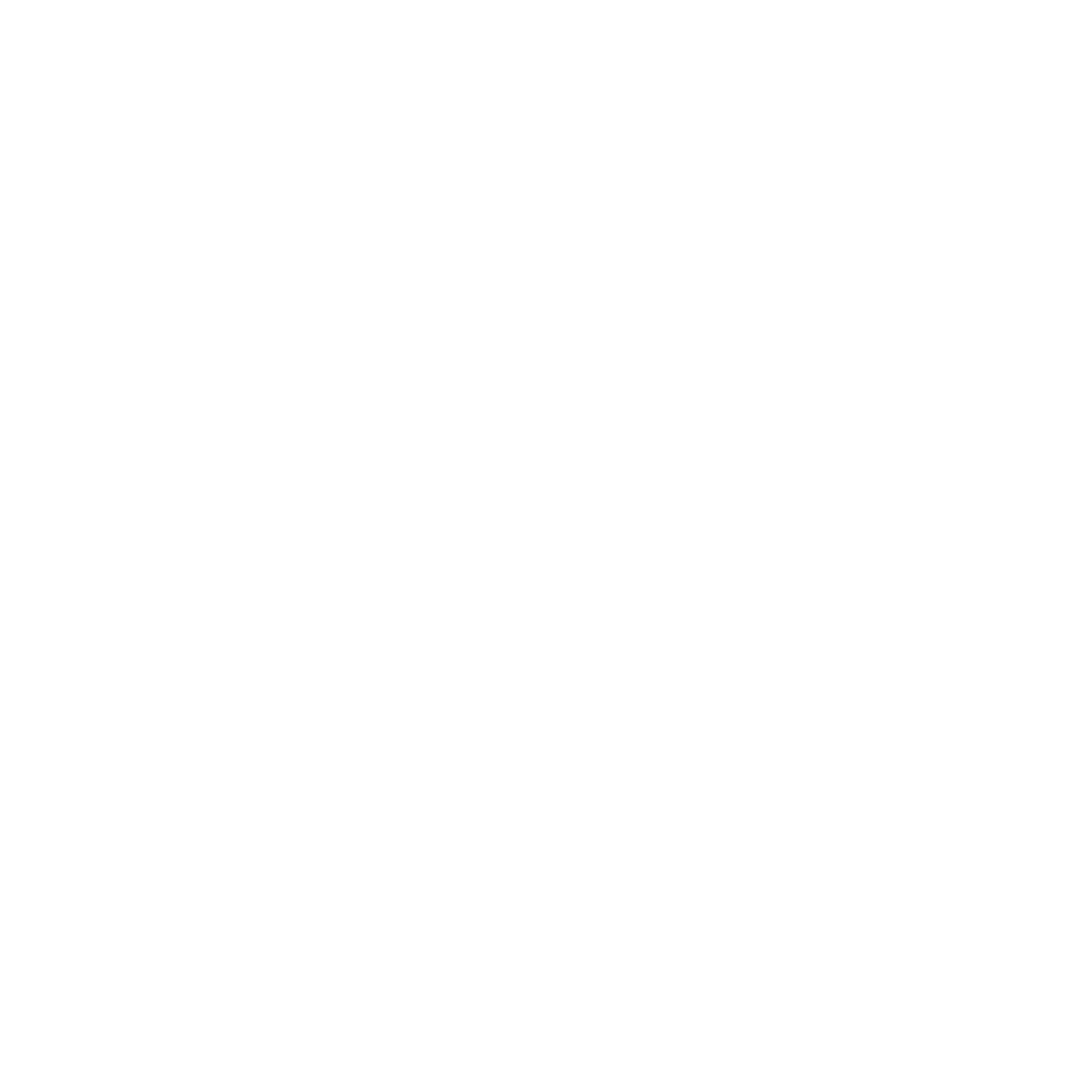 Dan Wells