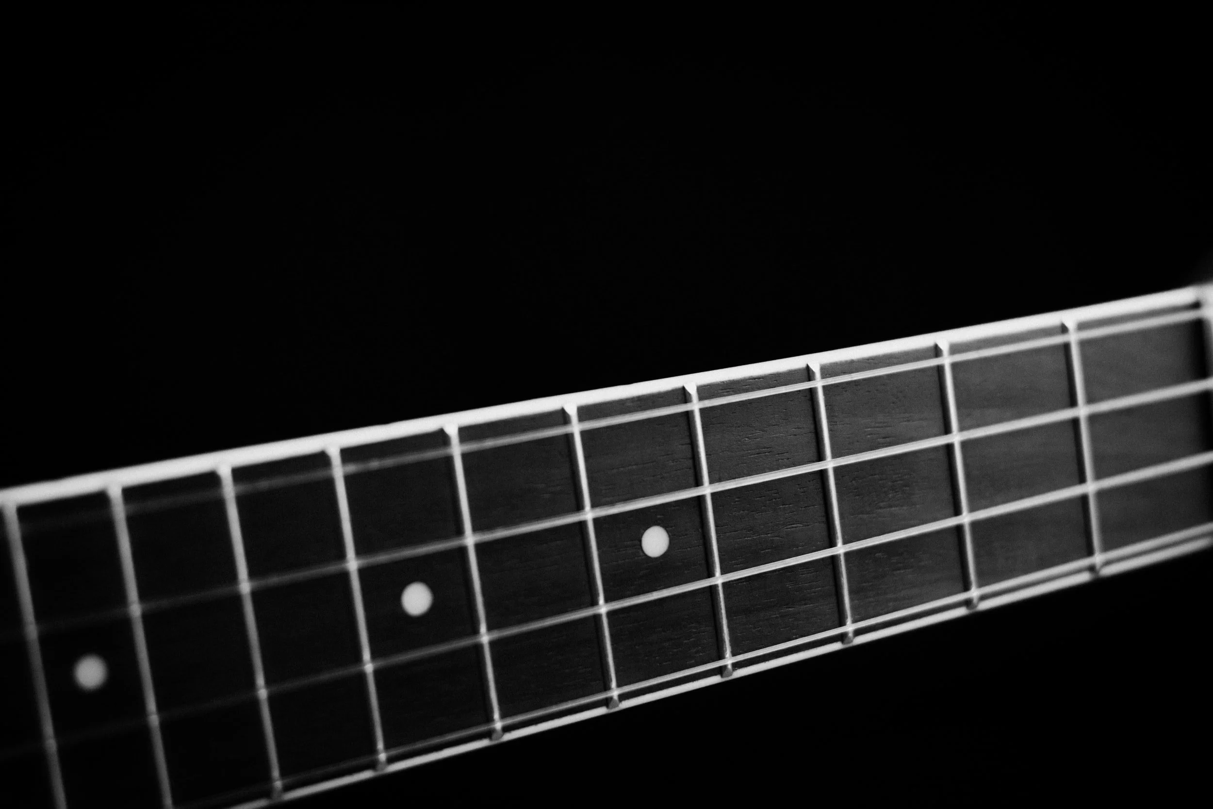 Bass Guitar Course 101