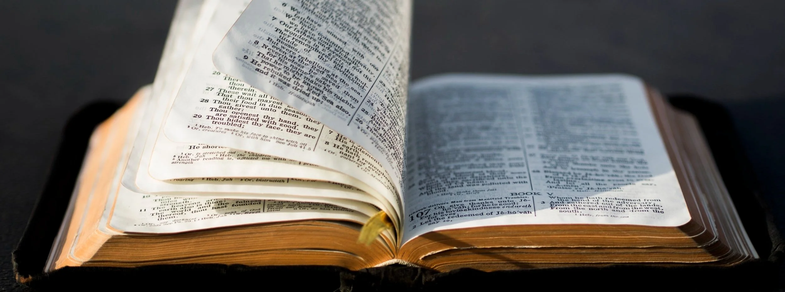 What We Believe