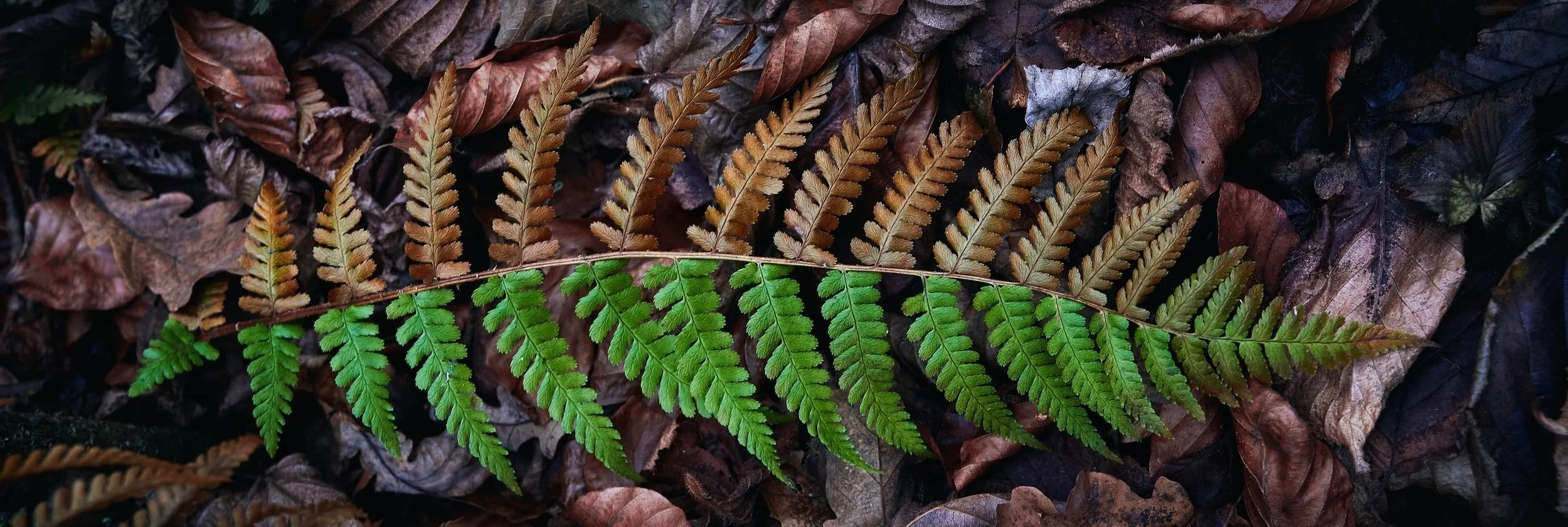 A Season of Preparation by Pastor Ras