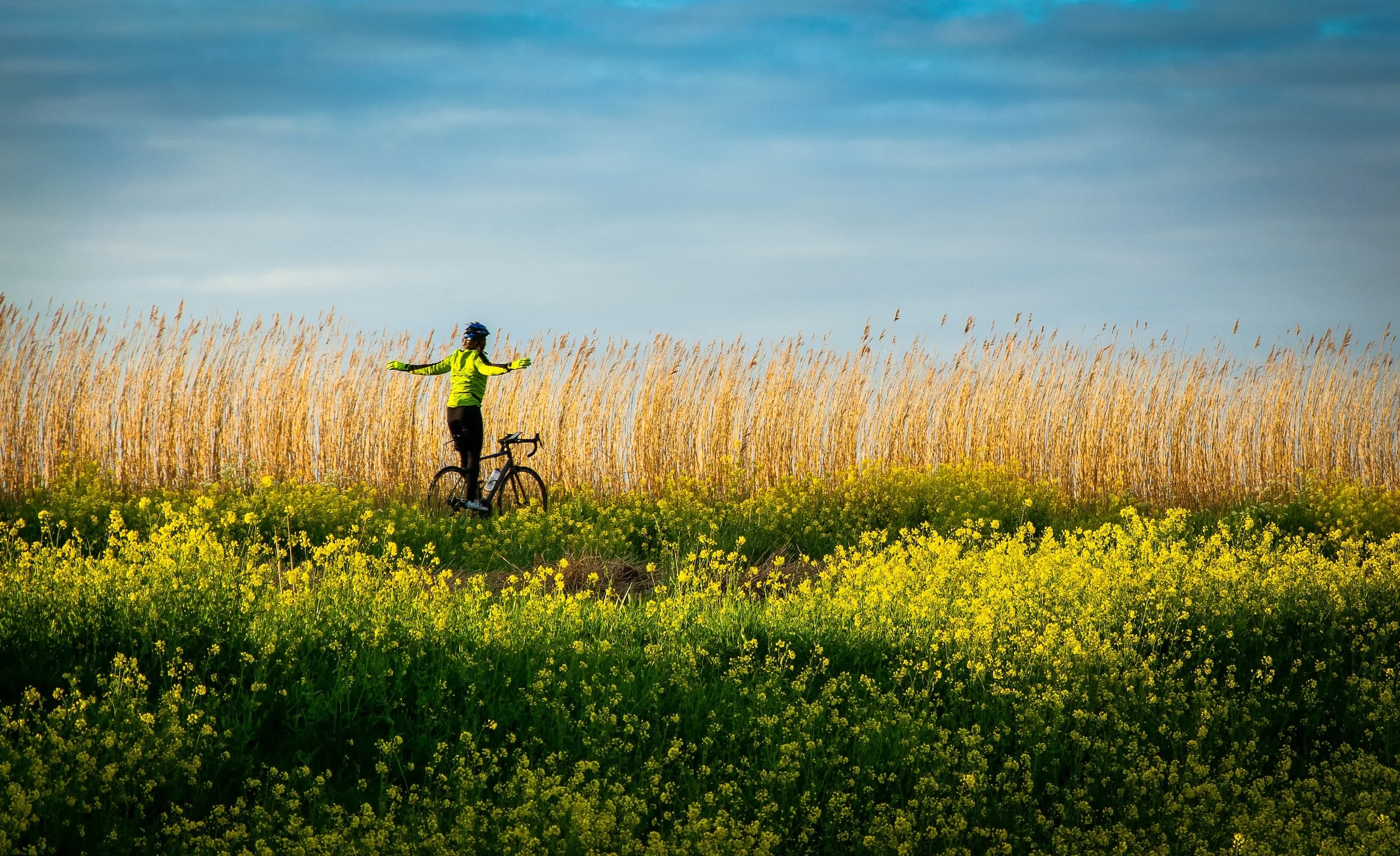 Pressing Onward with Confidence