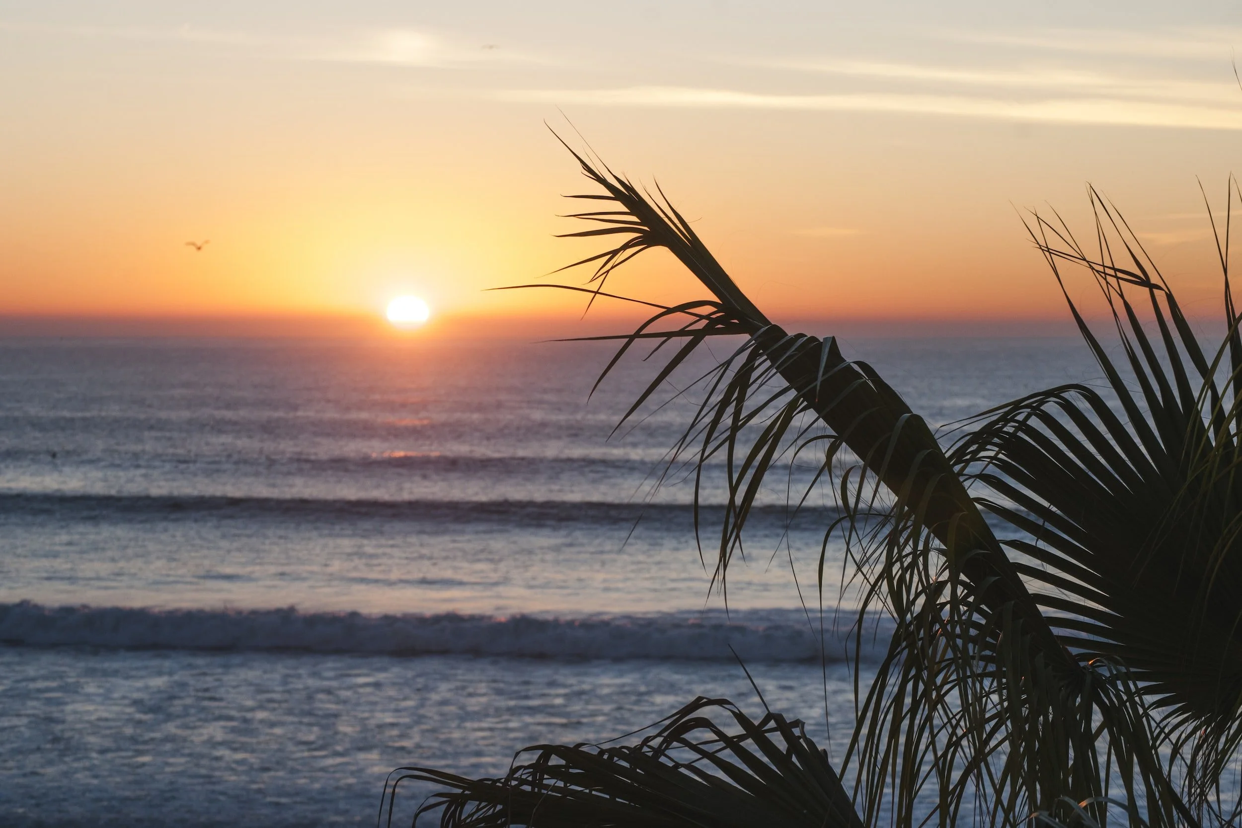 Let Love Guide Your Steps Today - A Devotional on 2 Corinthians 13:11