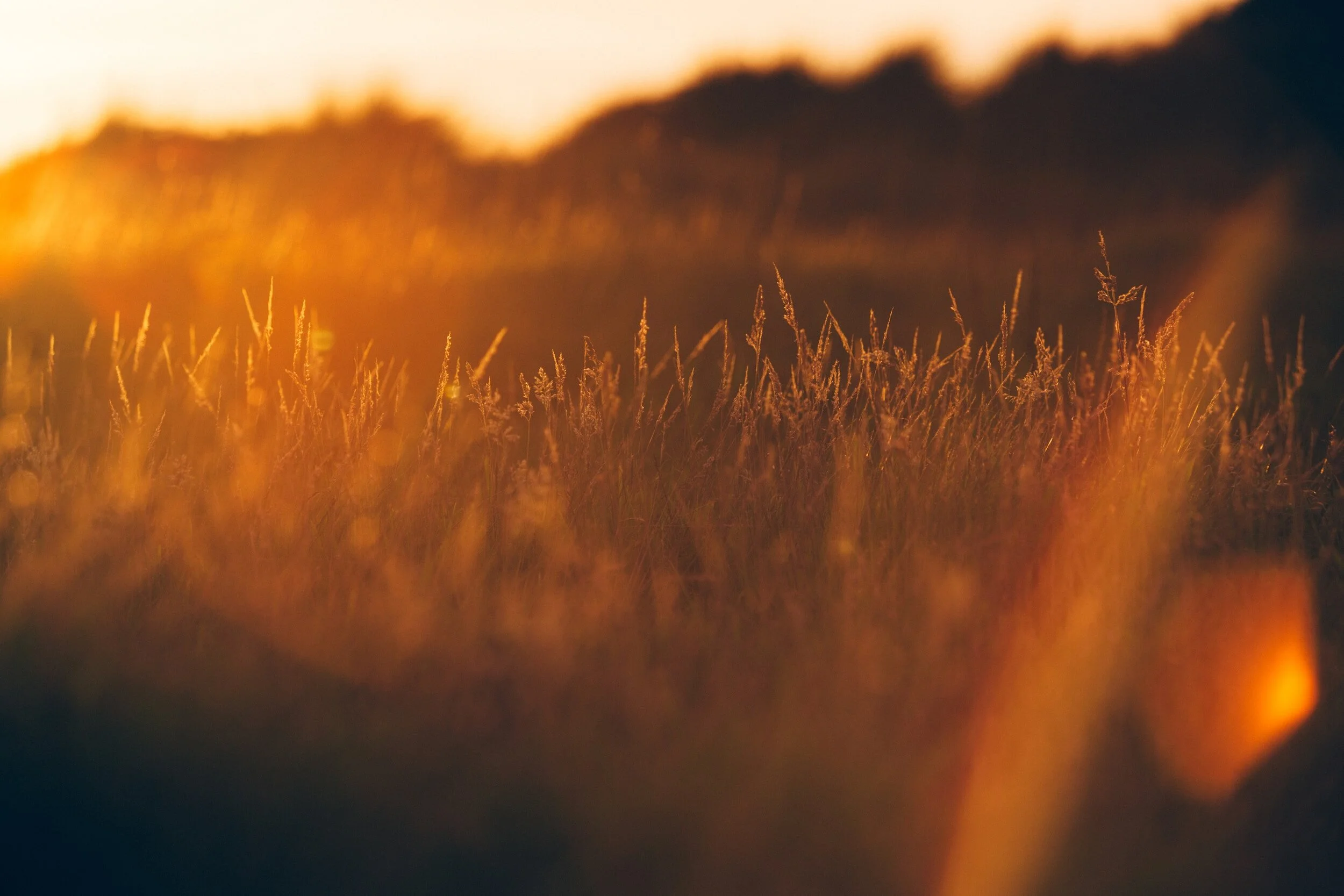 How Trusting in God Can Change Your Life