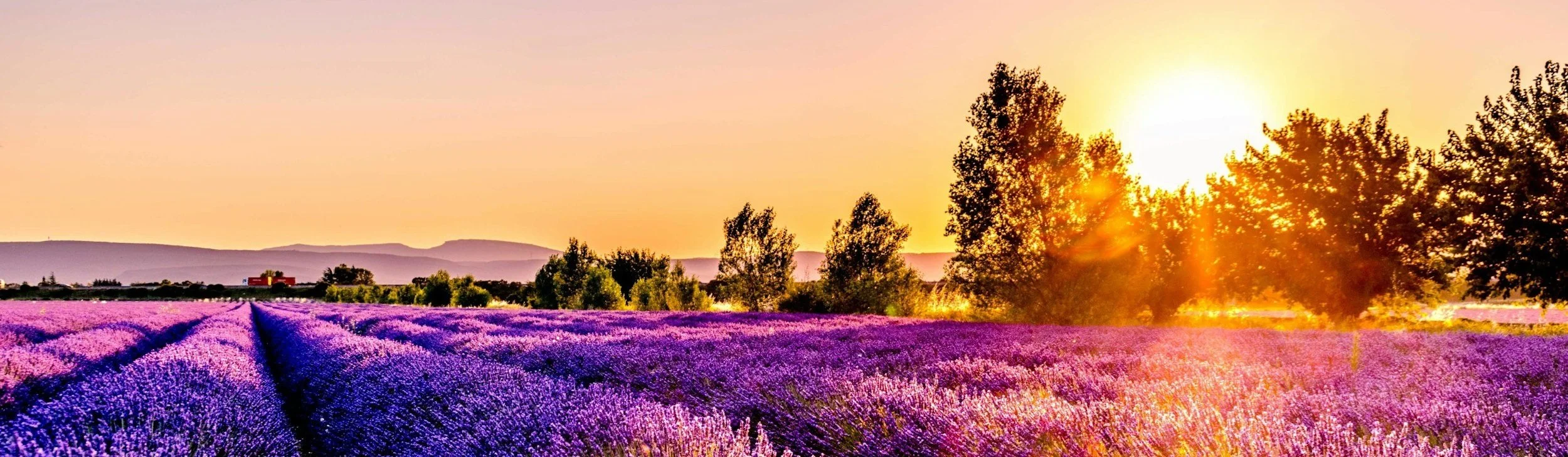 Finding Rest in the New Covenant