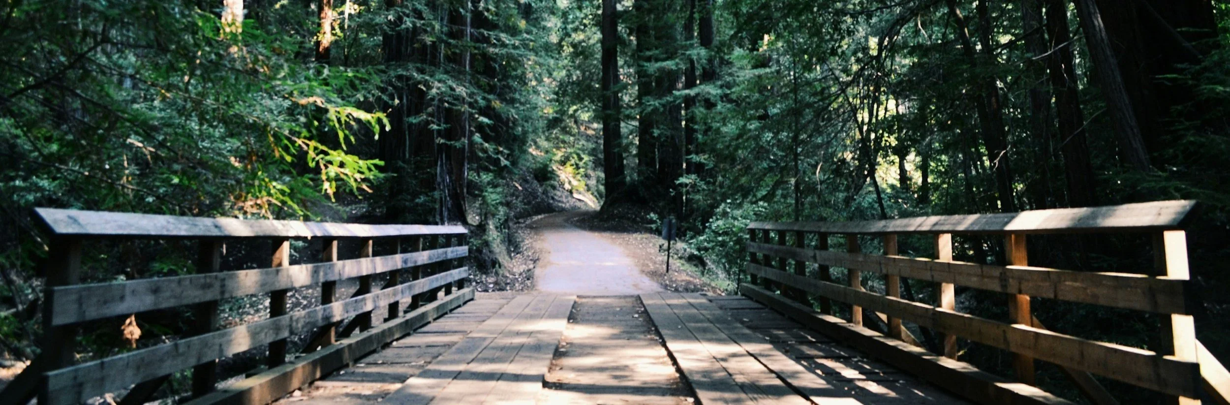 Discovering Divine Guidance: How to Follow the Spirit’s Leading