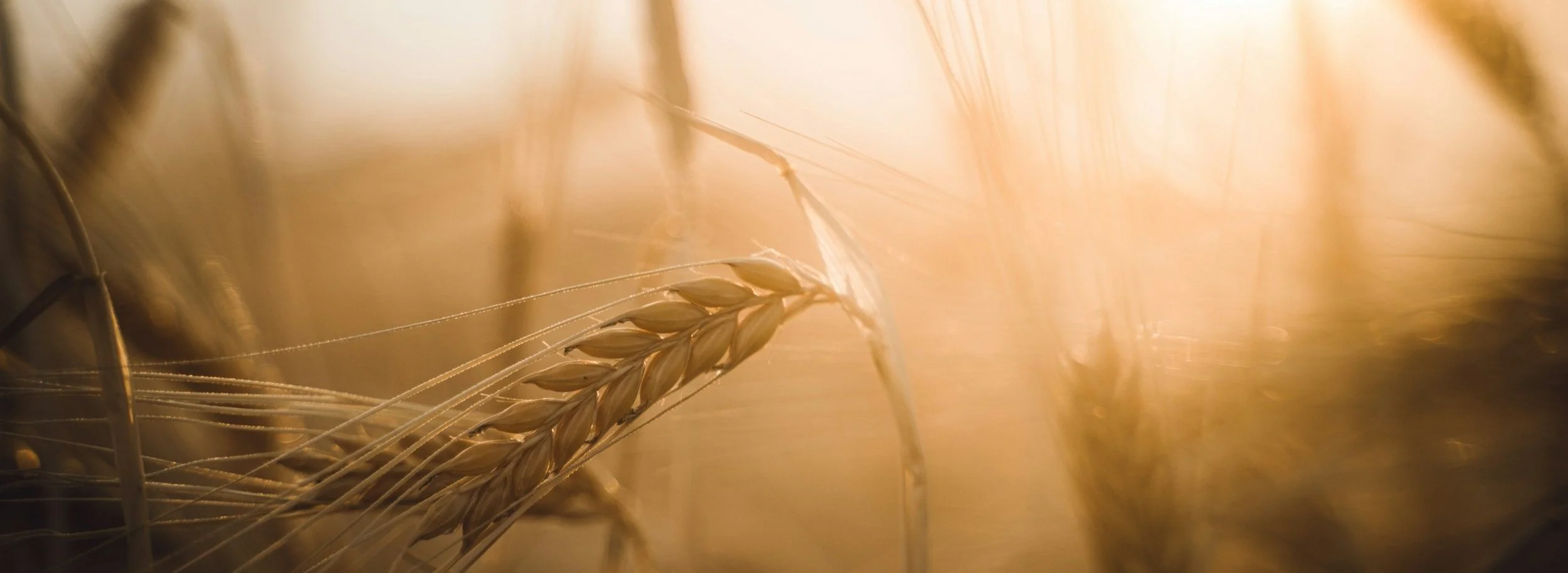 Discovering Lasting Joy: Finding True Happiness in God