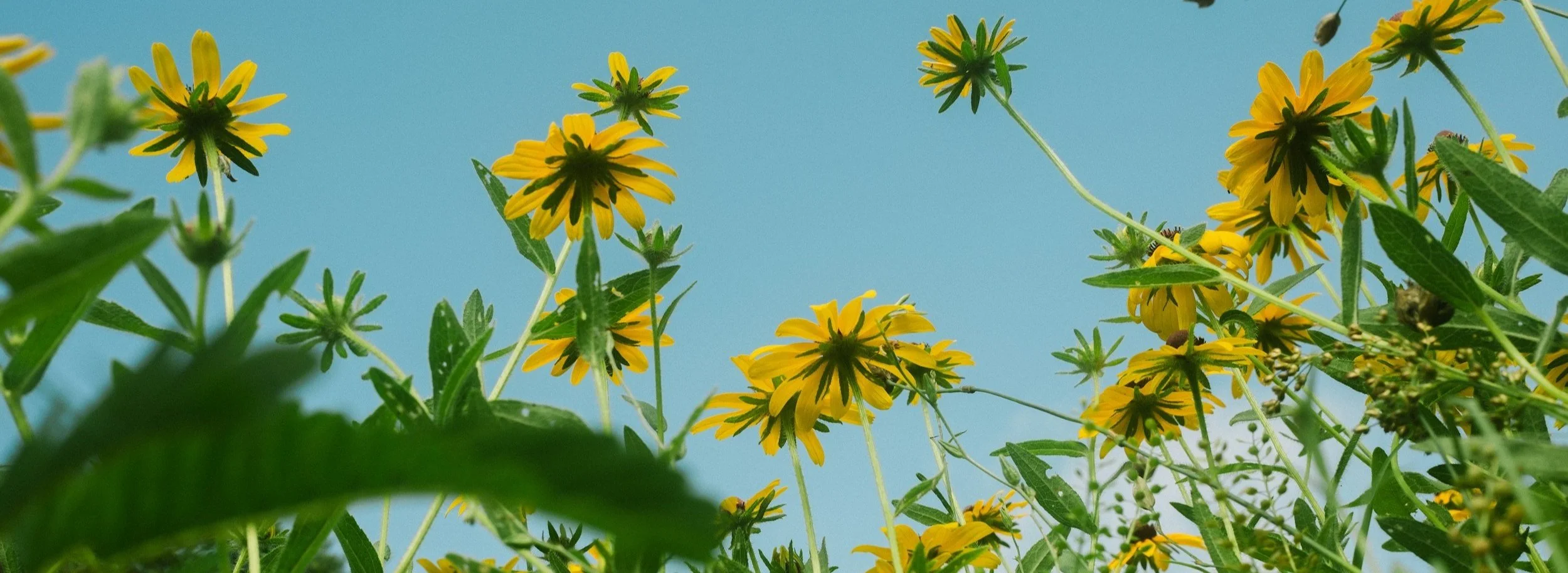 Overcoming Your Struggles: Finding Victory Through God's Strength