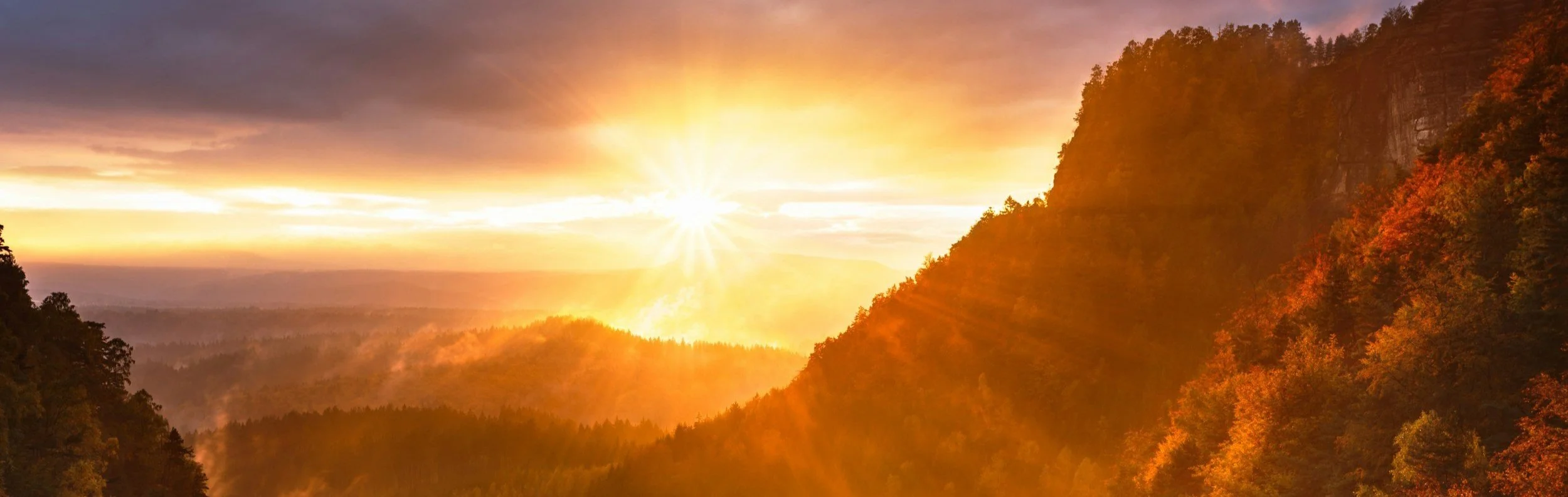 Finding Hope in the Morning: Turning Tears into Joy