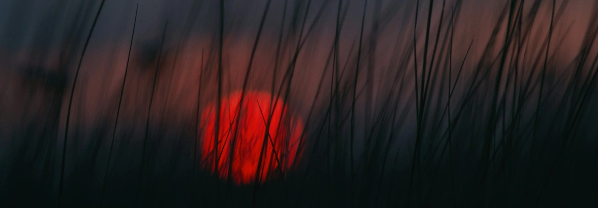 Finding True Joy in God's Daily Blessings