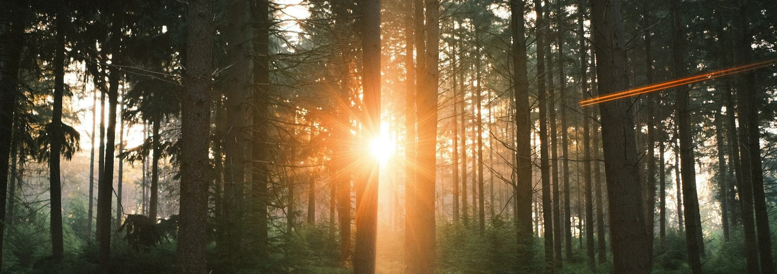 Don’t Be Intimidated: How to Stand Strong in Faith When Facing Giants