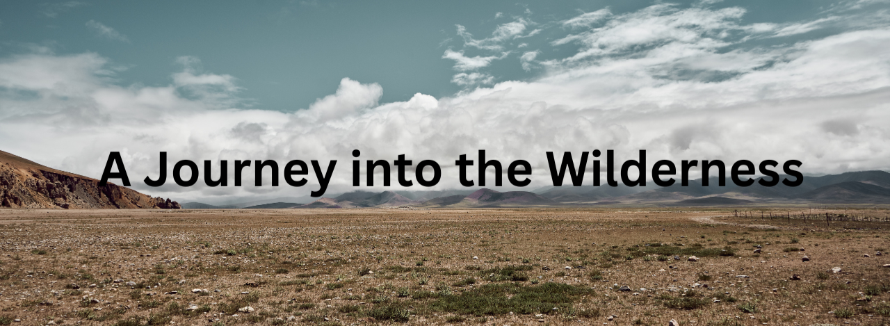 A Journey Into The Wilderness