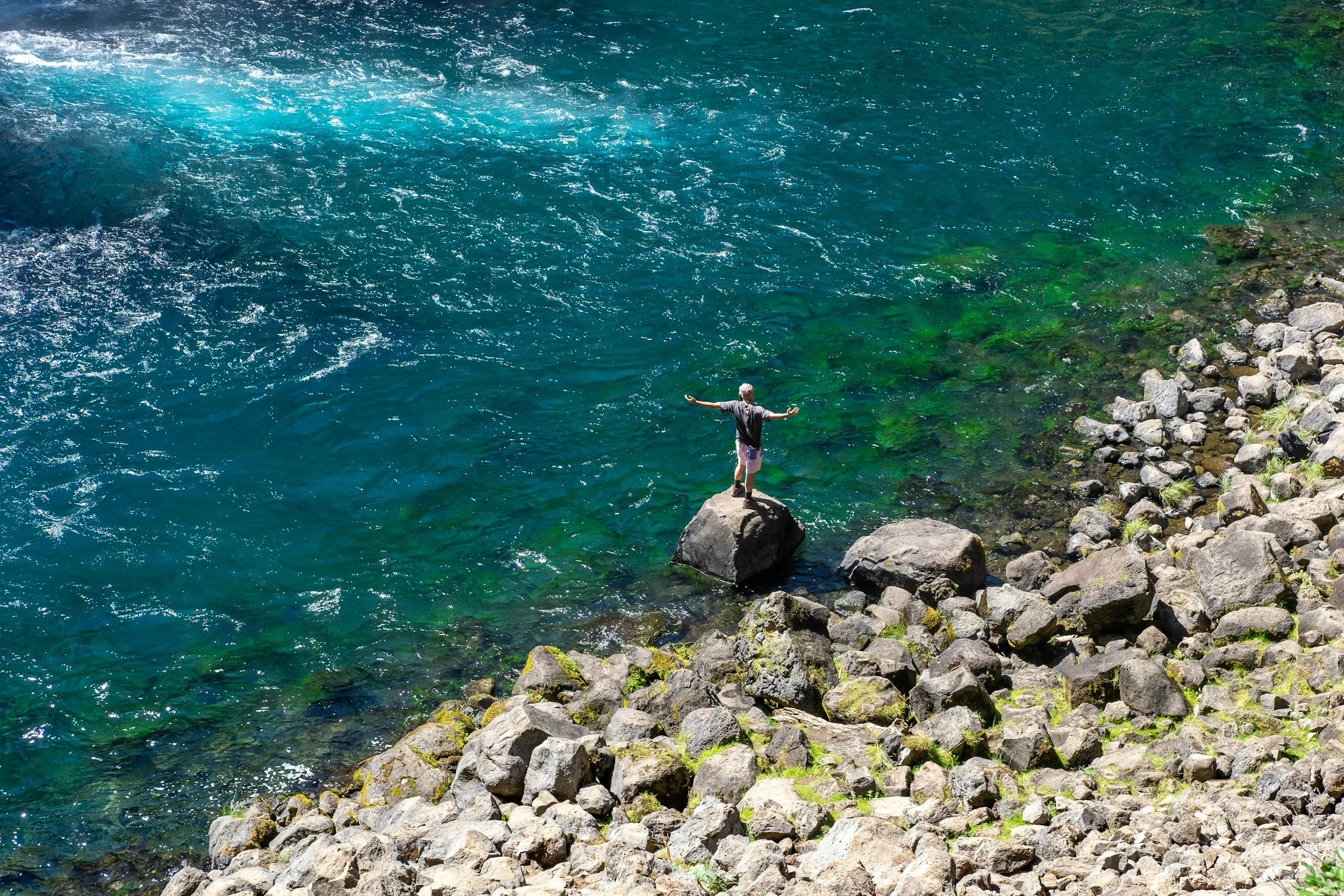 Champions Are Built in the Again