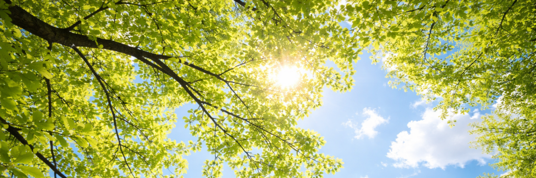 Finding Fresh Joy in God